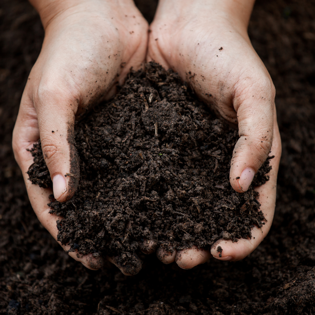 soil in hands