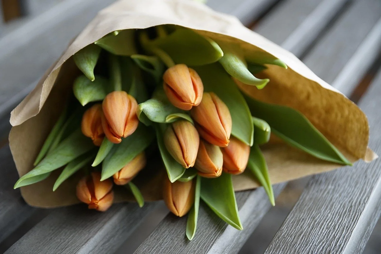 Tulips for Every Occasion