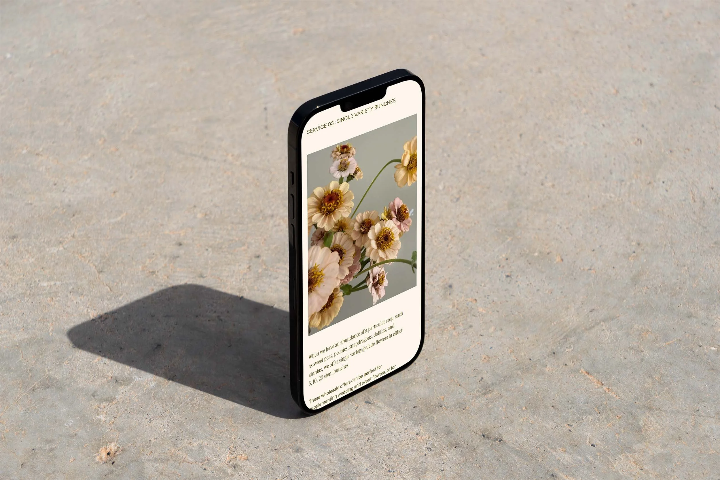 the-prairie-edit-14-mobile.jpg