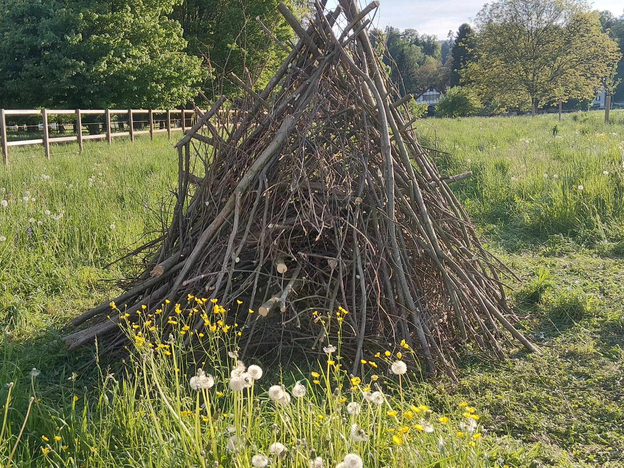 Zwei neue Wieselburgen in Uessikon (Maur)