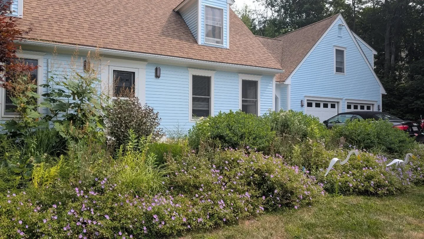 Another angle. 
#ecologicalhorticulture