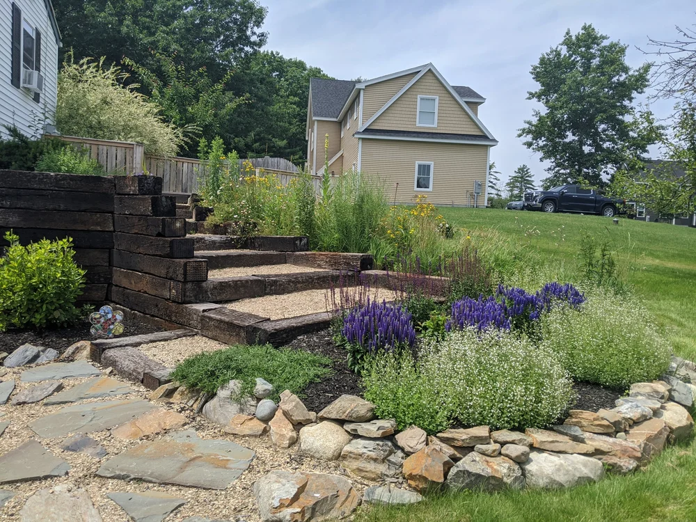 Our Team Sustainable Landscaping in Maine Sophia Design — Sophia Design