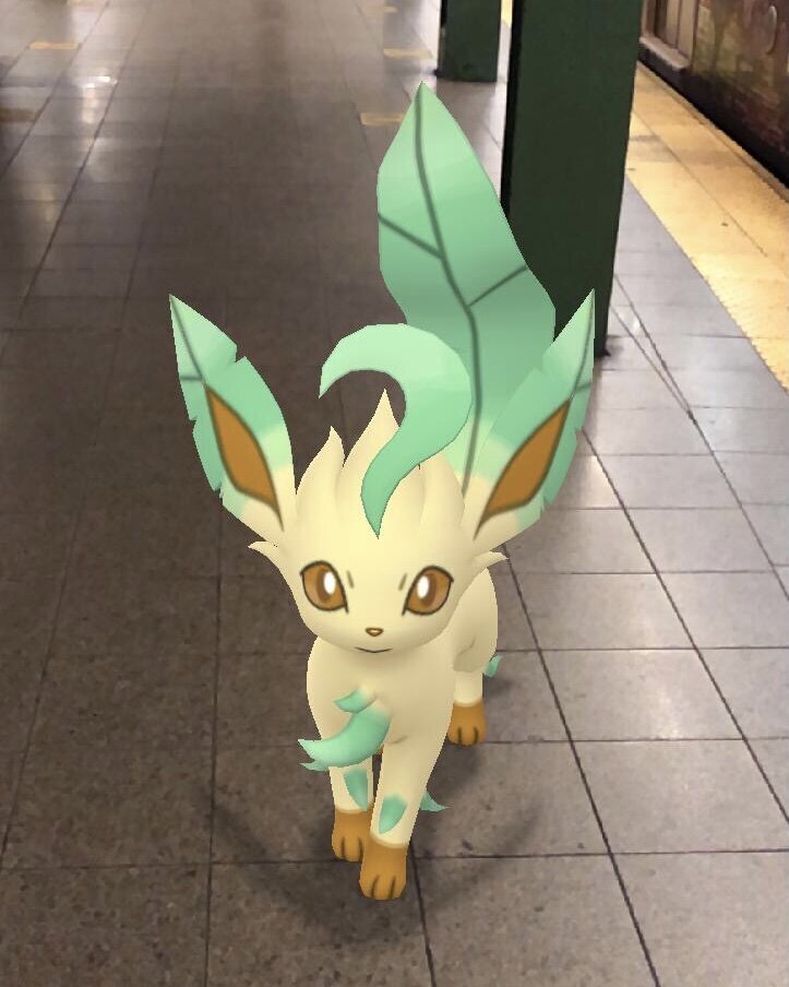 Pokemon GO Leafeon: How to evolve Eevee into Leafeon with evolution name  trick - Daily Star