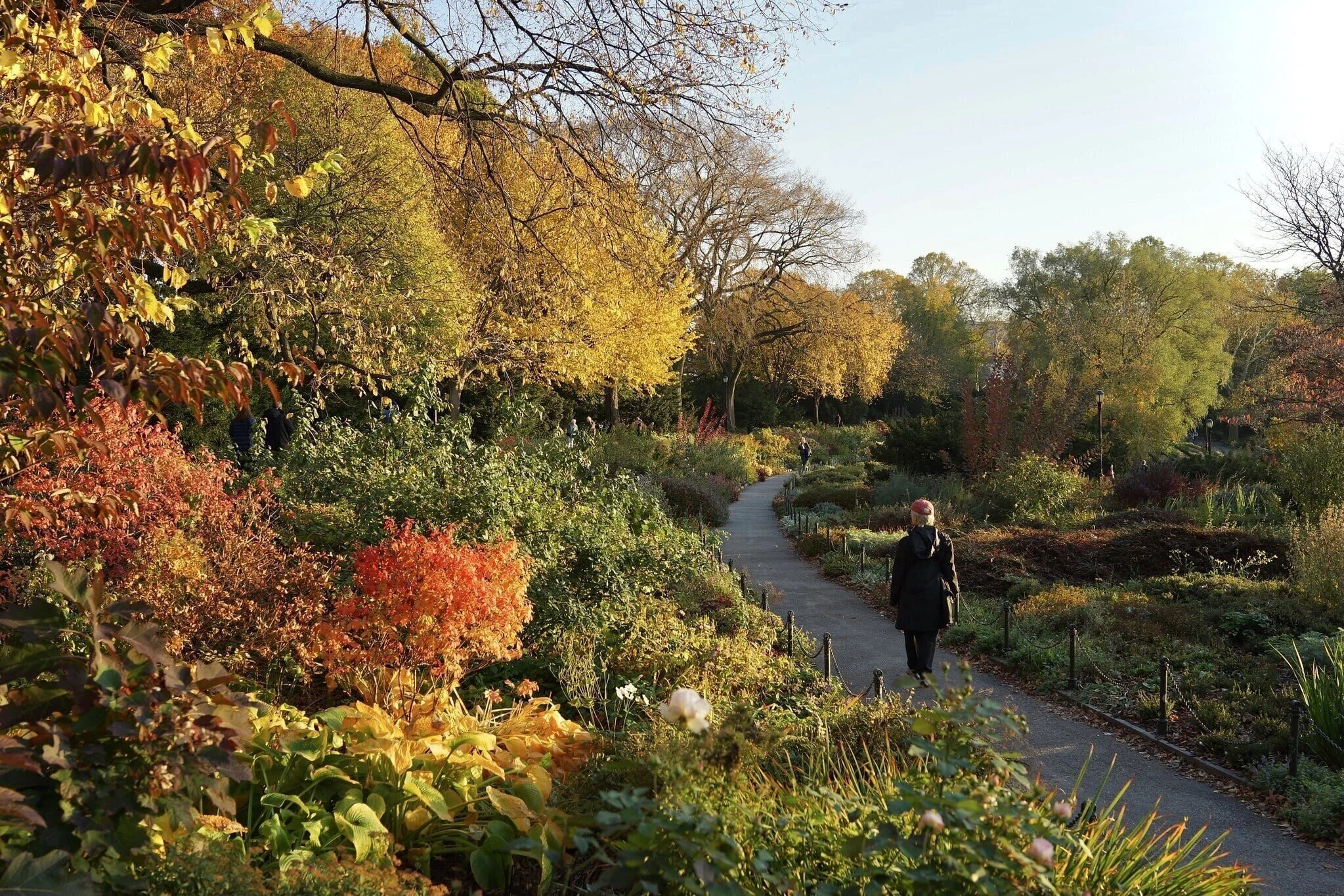 29 Best Picnic Spots in NYC to Visit This Summer The Exploreist