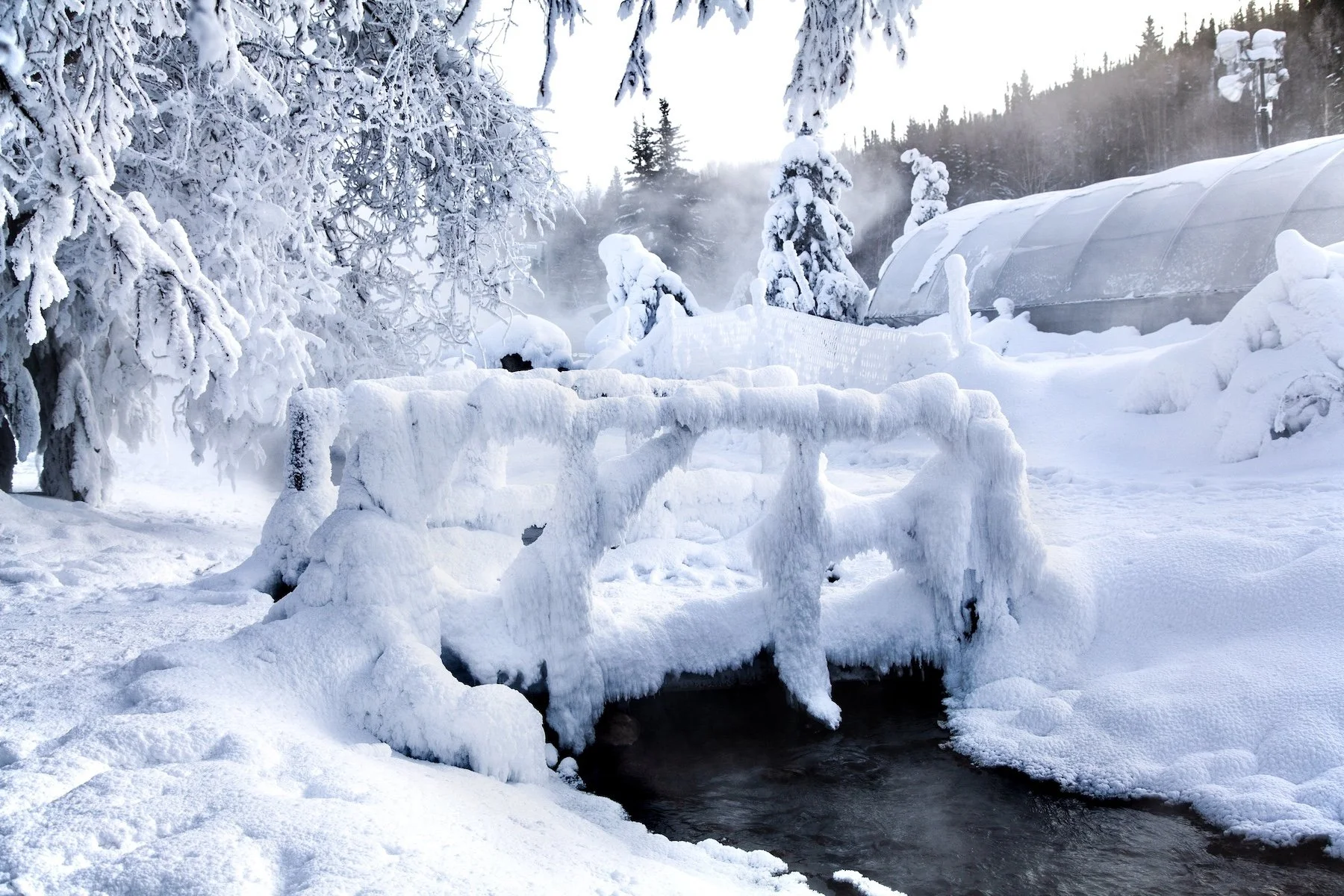 Your Guide to Chena Hot Springs Resort in Fairbanks Adventurers Only