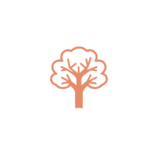 Icône d'un arbre sans feuilles en style minimaliste.