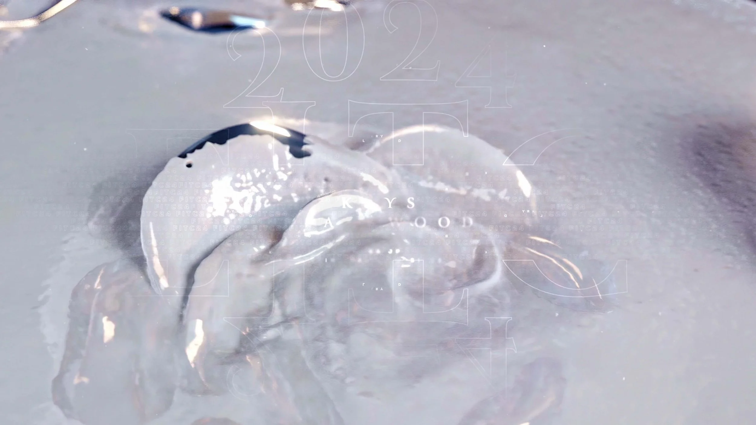 FITC24_STILL_004.jpg