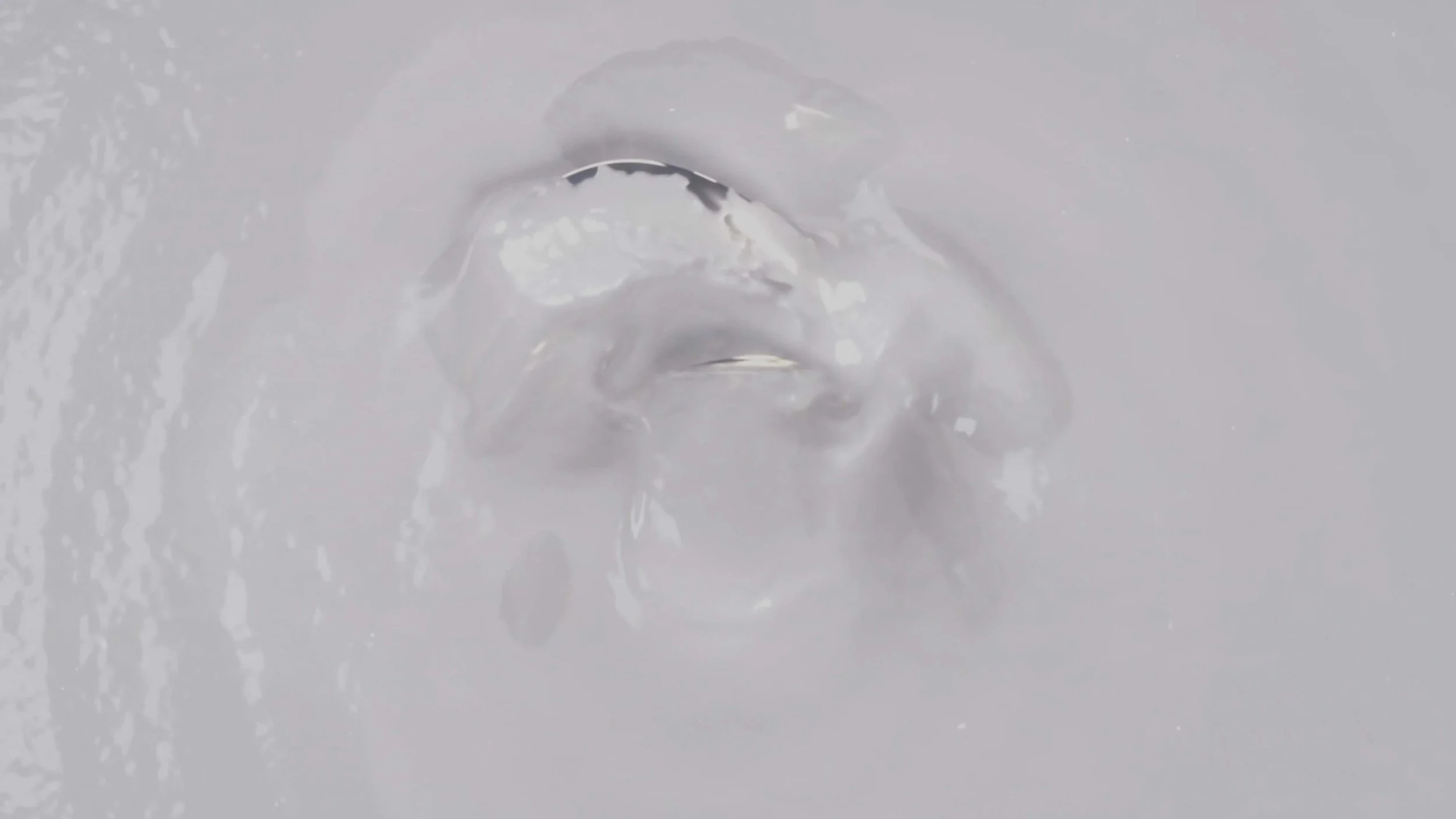 FITC24_STILL_001.jpg