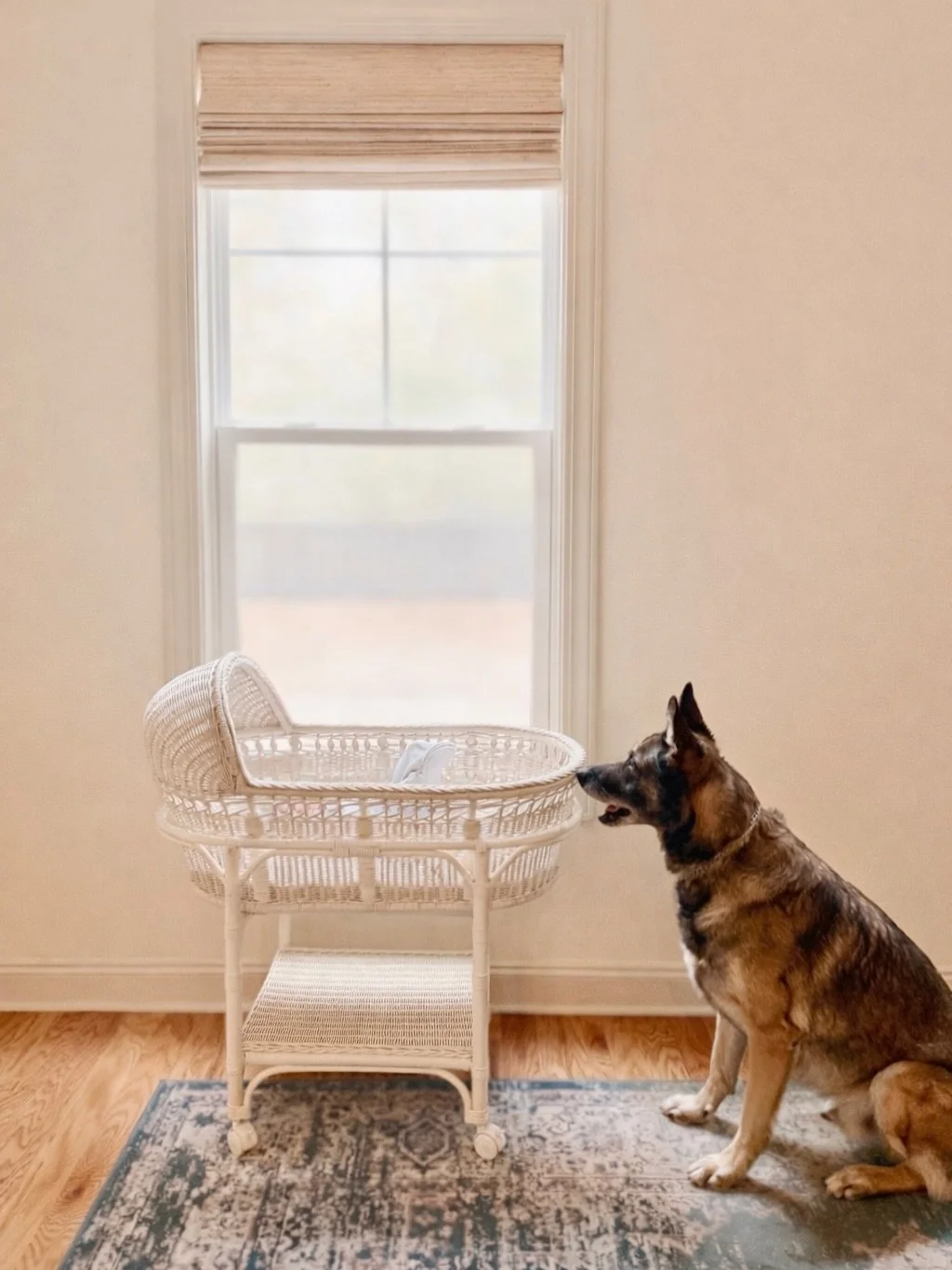 A personal historic moment 💙

Dear Insta friends, 

Last week, my husband and I welcomed the newest addition to our family: Benjamin &ldquo;Benny&rdquo; Matthew Tulla.

After the longest journey of our lives, with difficult losses, uncertainty, and 