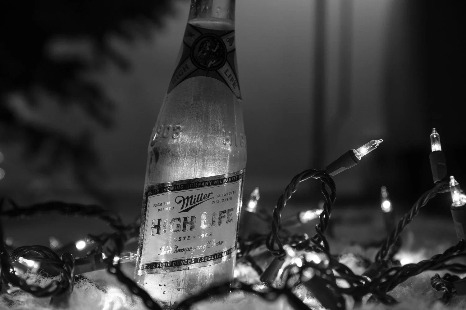 MHL2014_NYCWINTER_1787.JPG