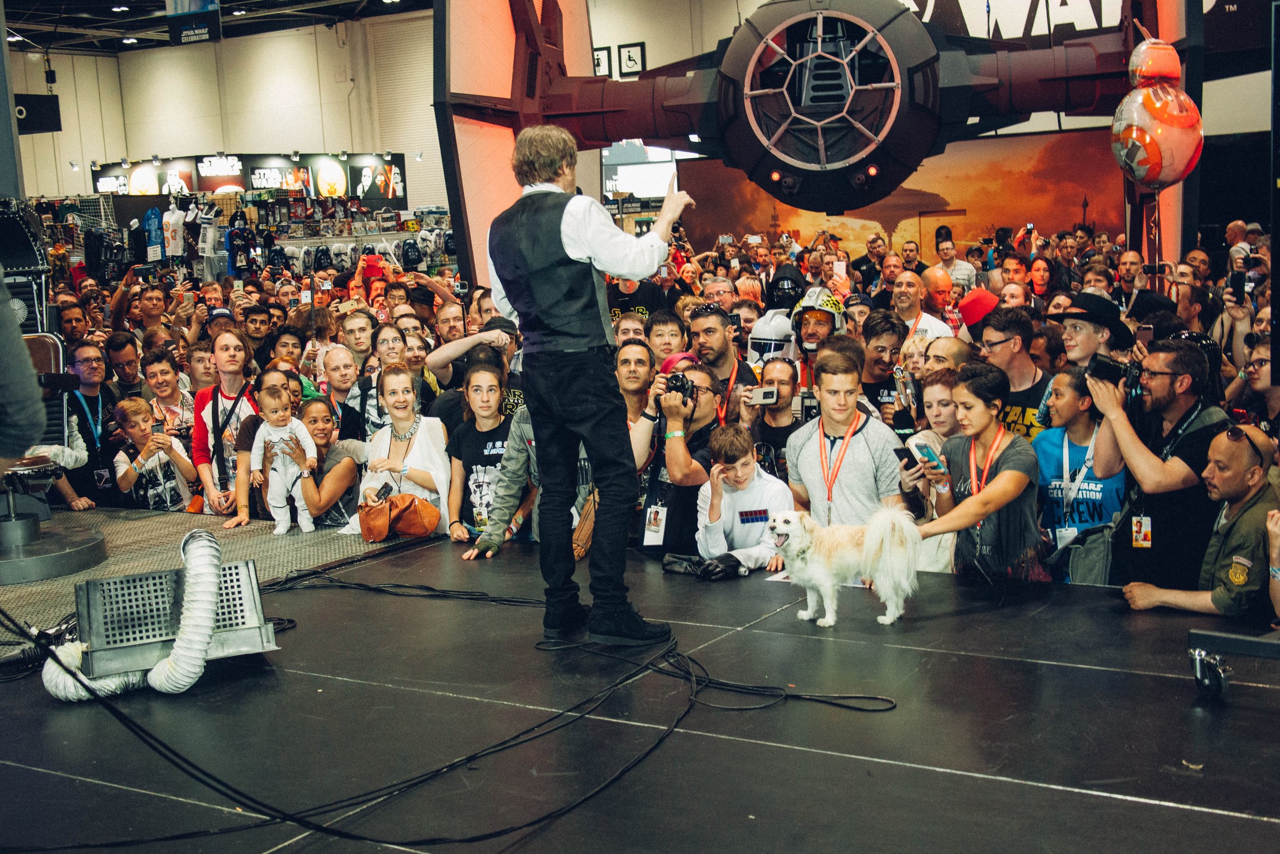 SWCE_021.jpg