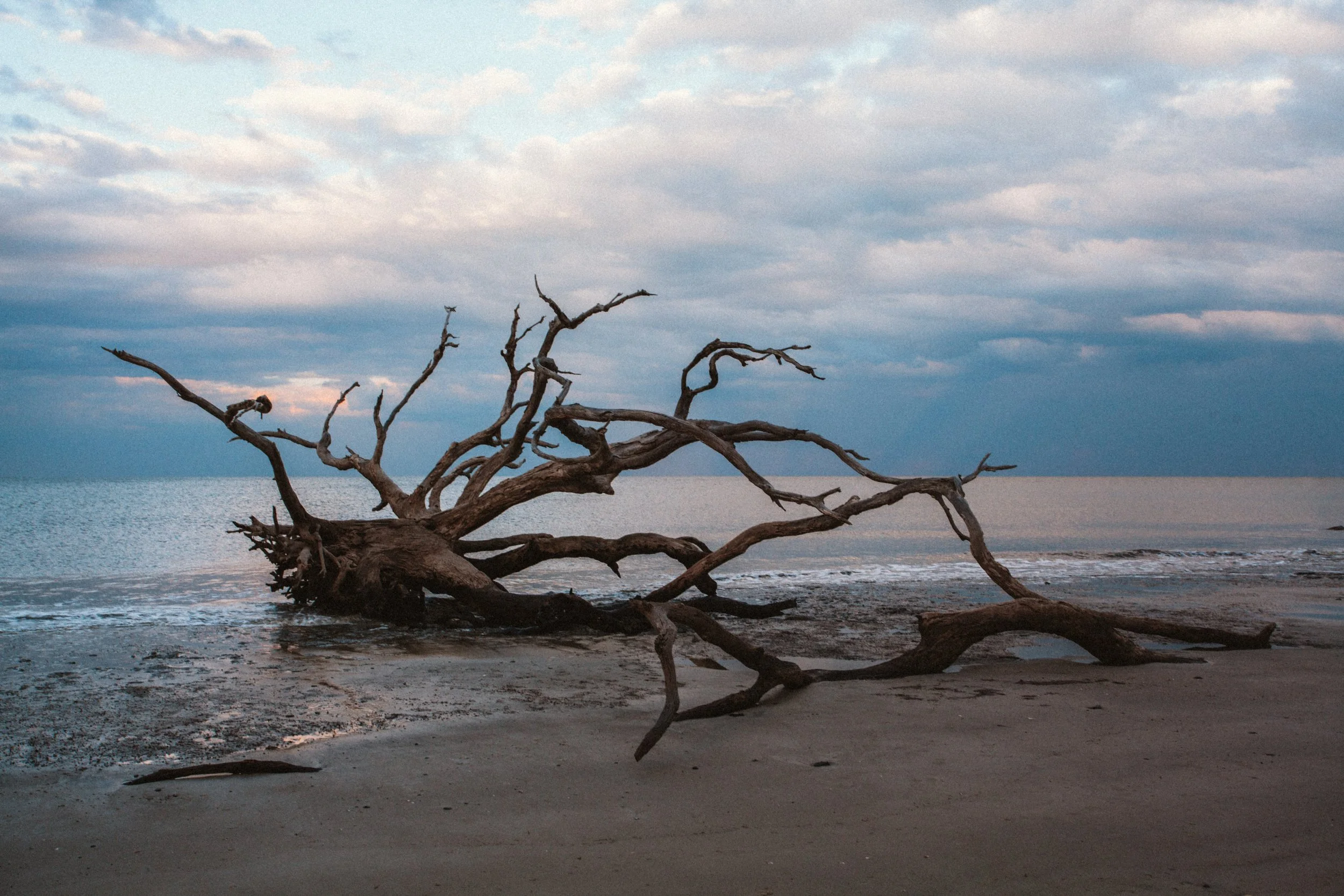 Jekyll Island, GA