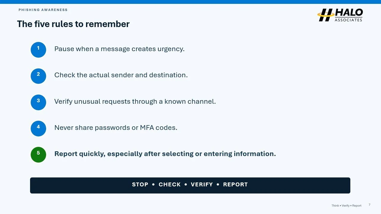 Slide7.jpg