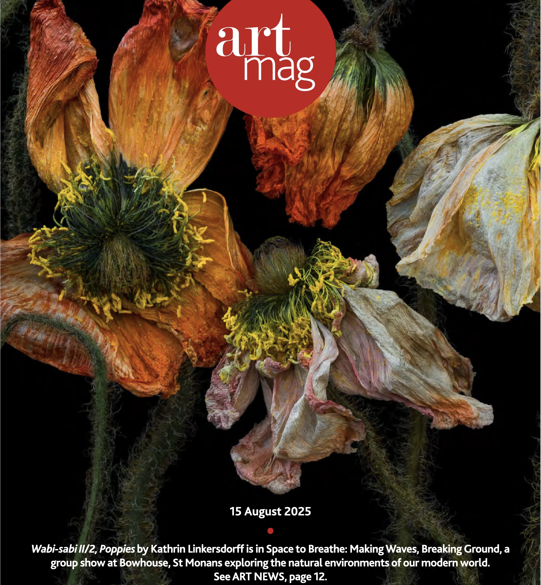 Aug 2025 Art Mag