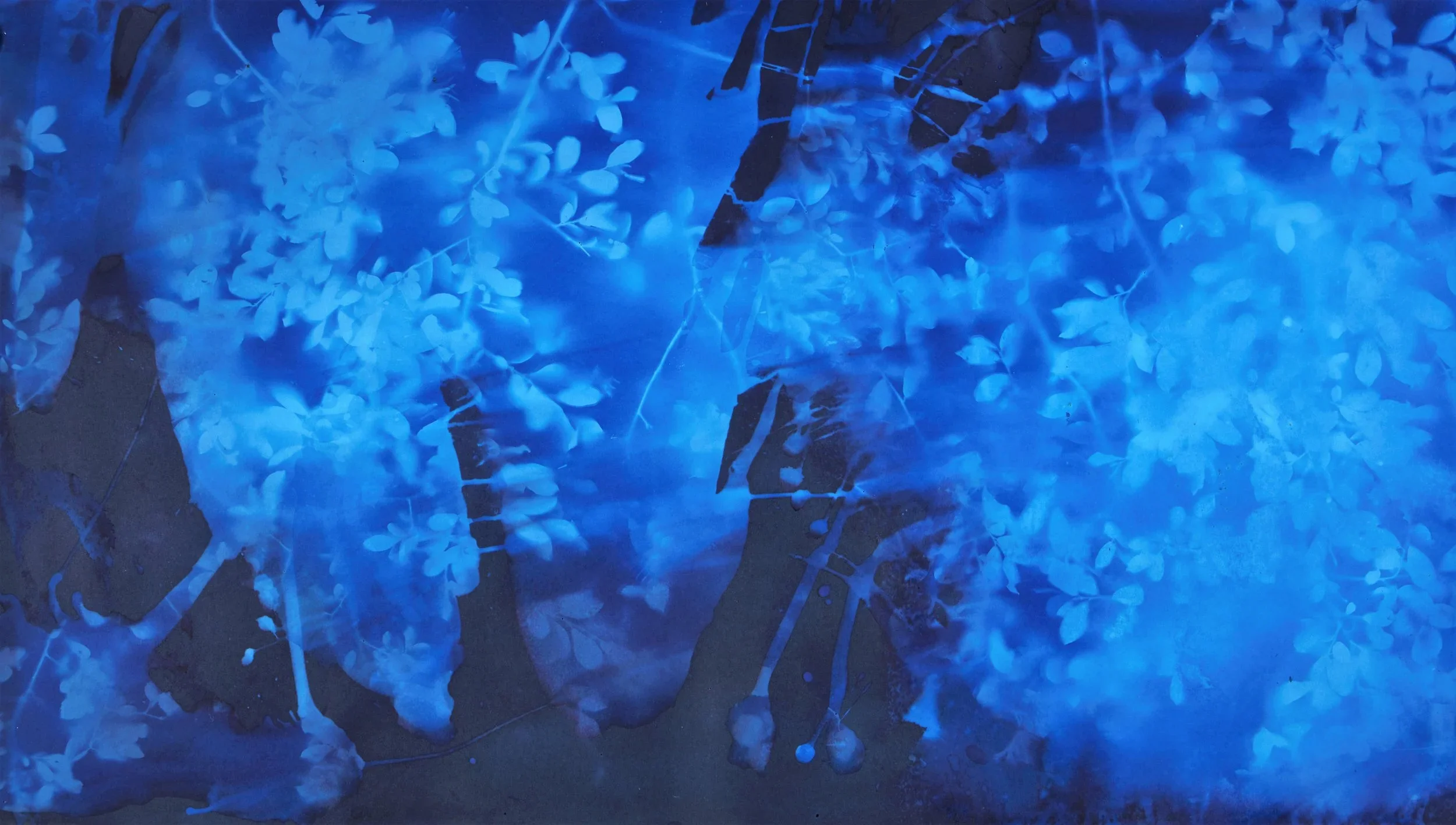 Artist Talk - Alexander Hamilton