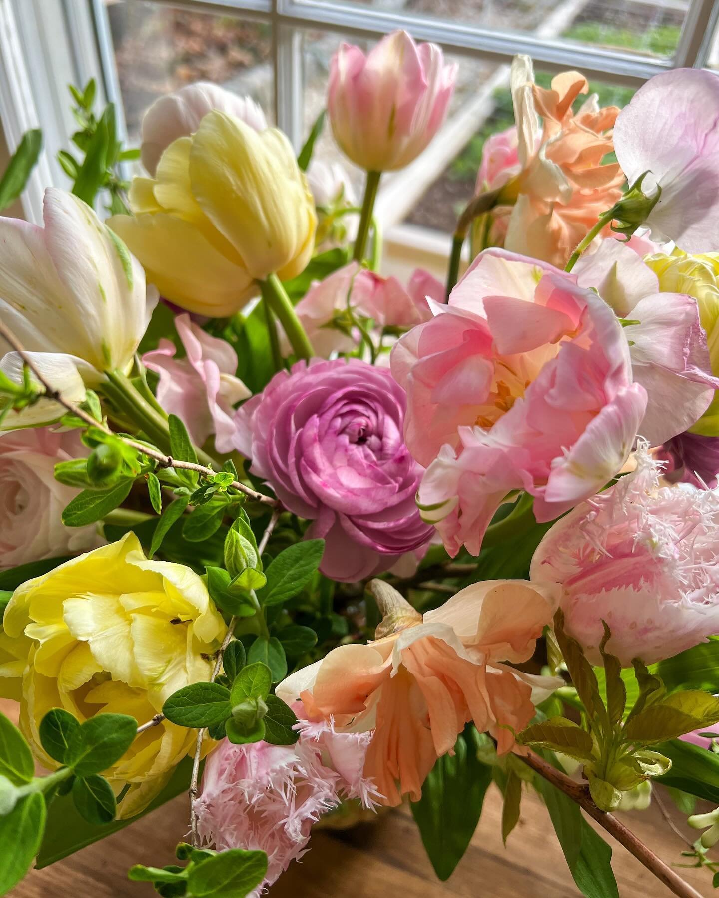 Not much else is needed when the local tulips and narcissi are this good!  Sweet palette of pastels for a baby shower this weekend. And in typical fashion, my only photos are of the arrangements all boxed up for delivery. 

#bloomcraft #localflowers 