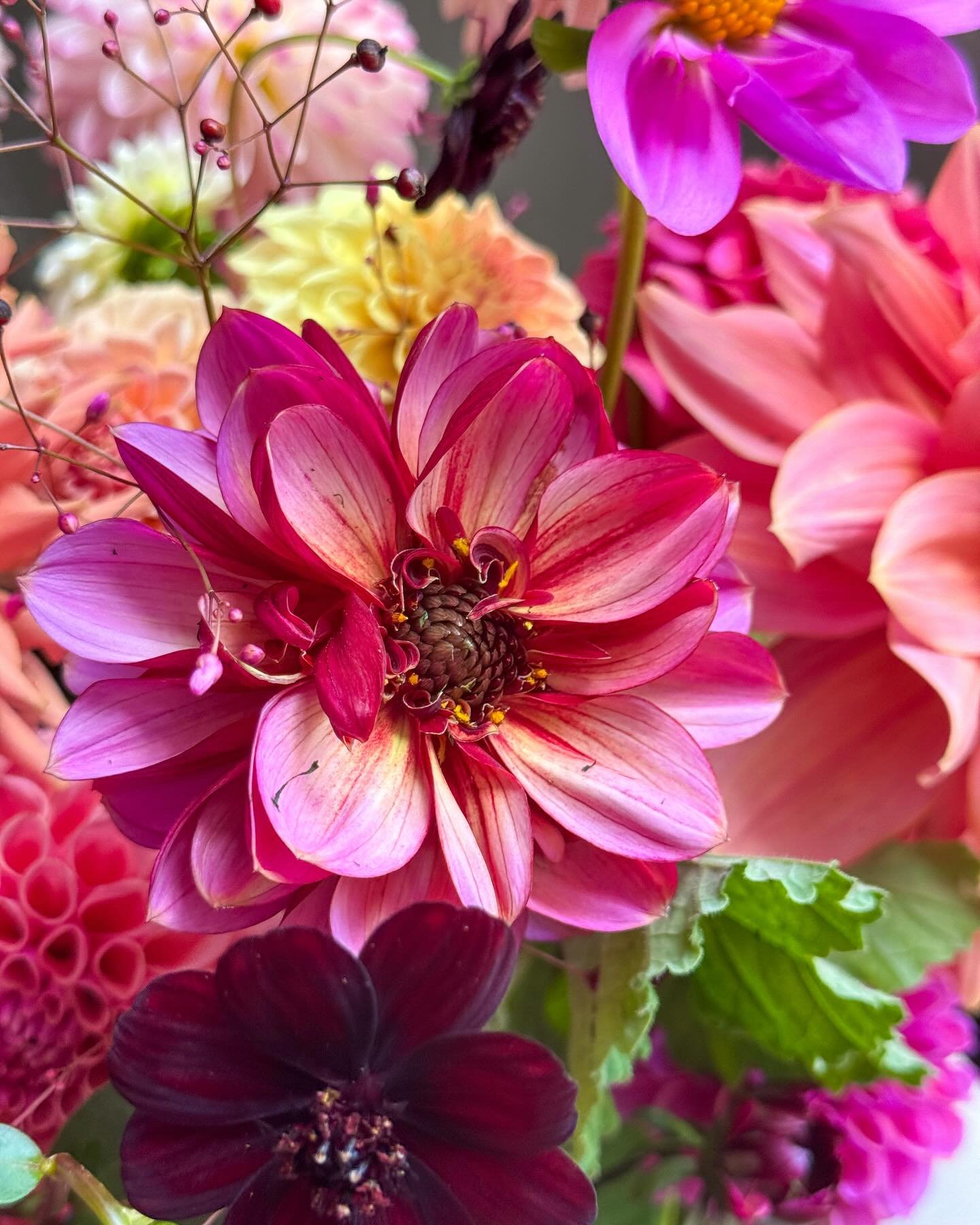 Friday flowers and probably the last of the dahlias.  We are still waiting on a killing frost so I&rsquo;m savoring the last couple of stragglers coming out of the garden. 

#bloomcraft #cutflowergarden #cuttinggarden #dahlias #summerflowers #locally