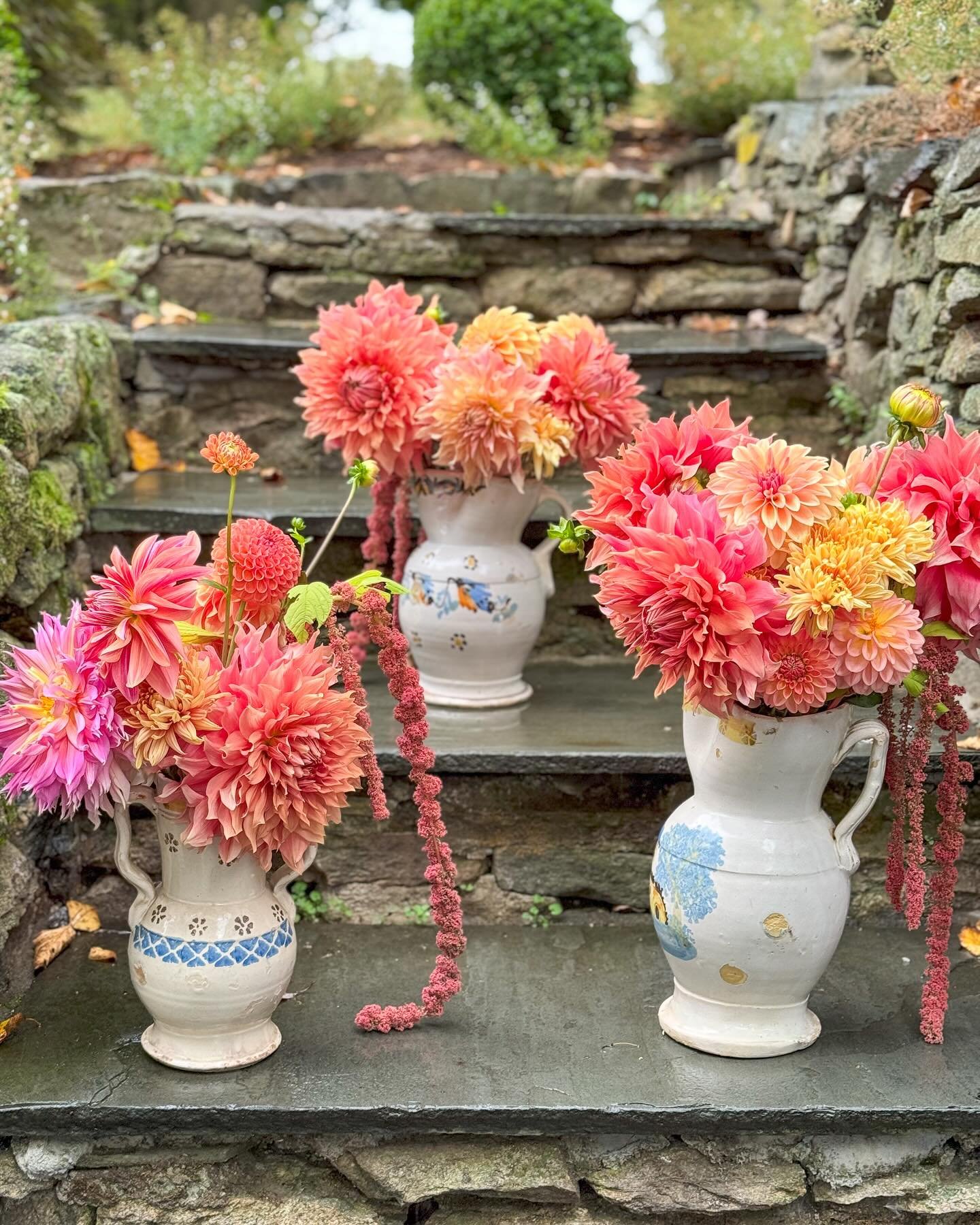 Tangerine dreams on this last day of October. 

#bloomcraft #dahlias #dahliaseason #gardeninspiredfloristry #octoberflowers #localflowers #slowflowers