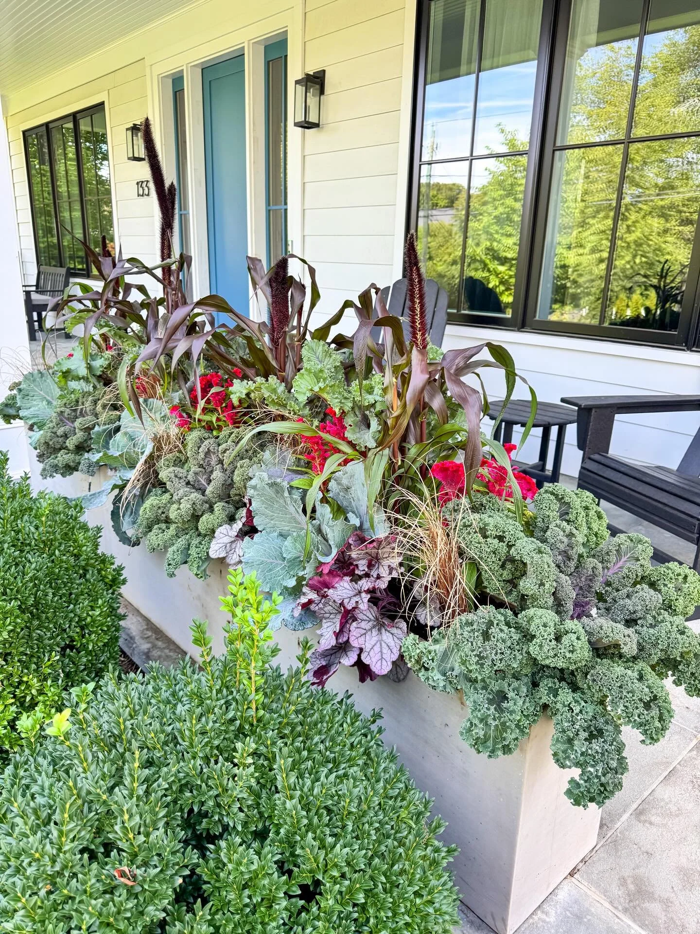 8 ft of fall goodies for this Wednesday πΎ
While not technically a windowbox, I use the same planting principles for this pair of long, narrow planters and they always end up being a favorite season after season
#bloomcraft #windowboxwednesday #fal