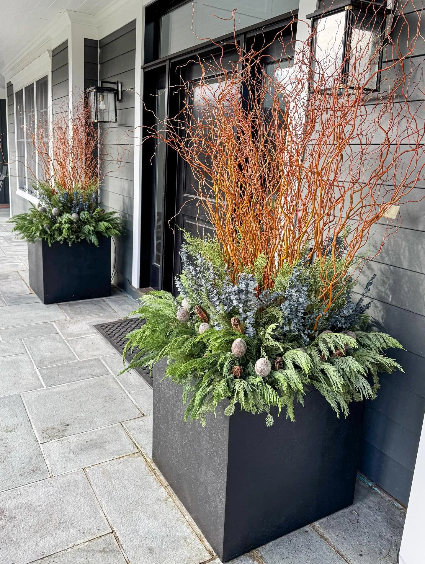 Lots of height and a bit of drama for this winter update! 

Changed it up this year for these oversized planters and love the how the coppery curly willow pops on this front porch. 

#bloomcraft #wintercontainers #containergardening