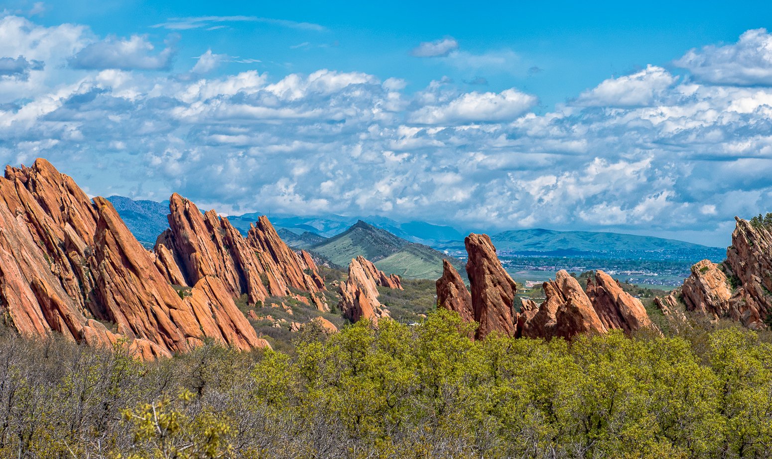 _3104506-Edit.jpg