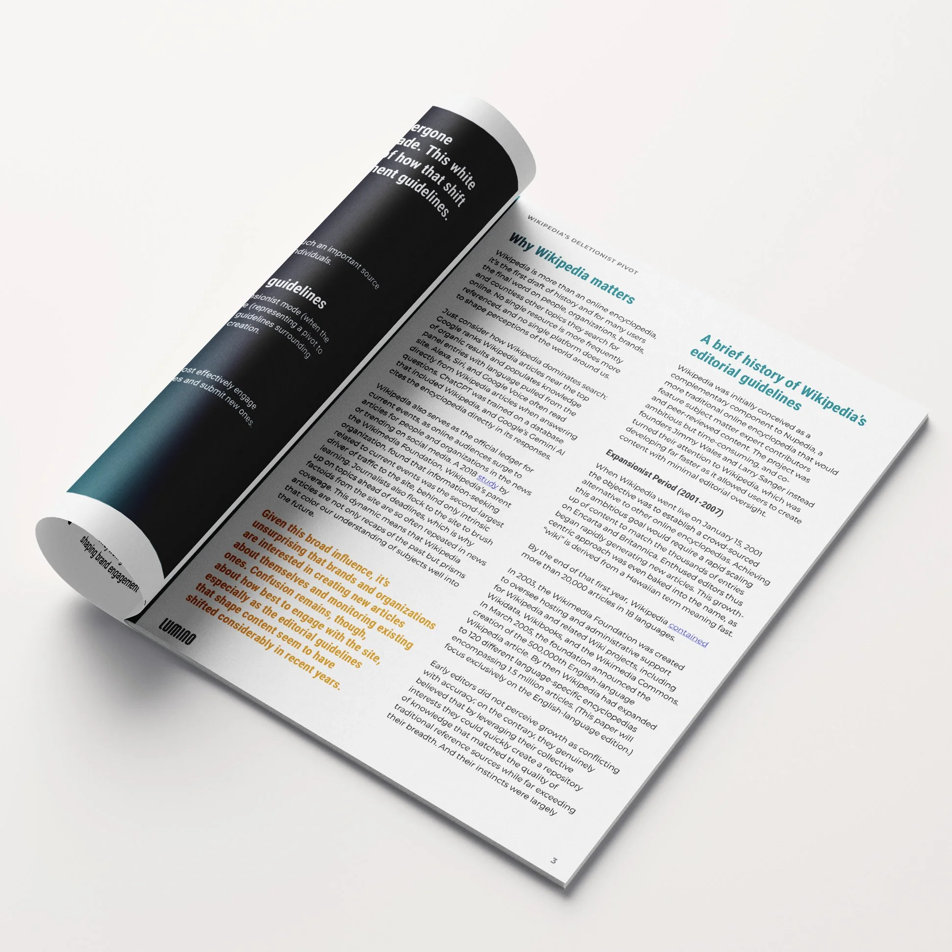 Lumino_Report Mockup_2.jpg