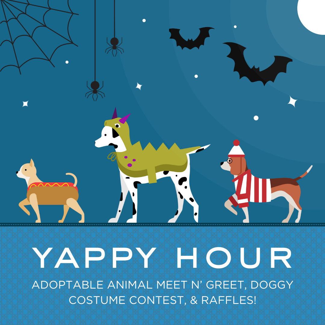 The Gates_Yappy Hour_IG Feed_v3.png