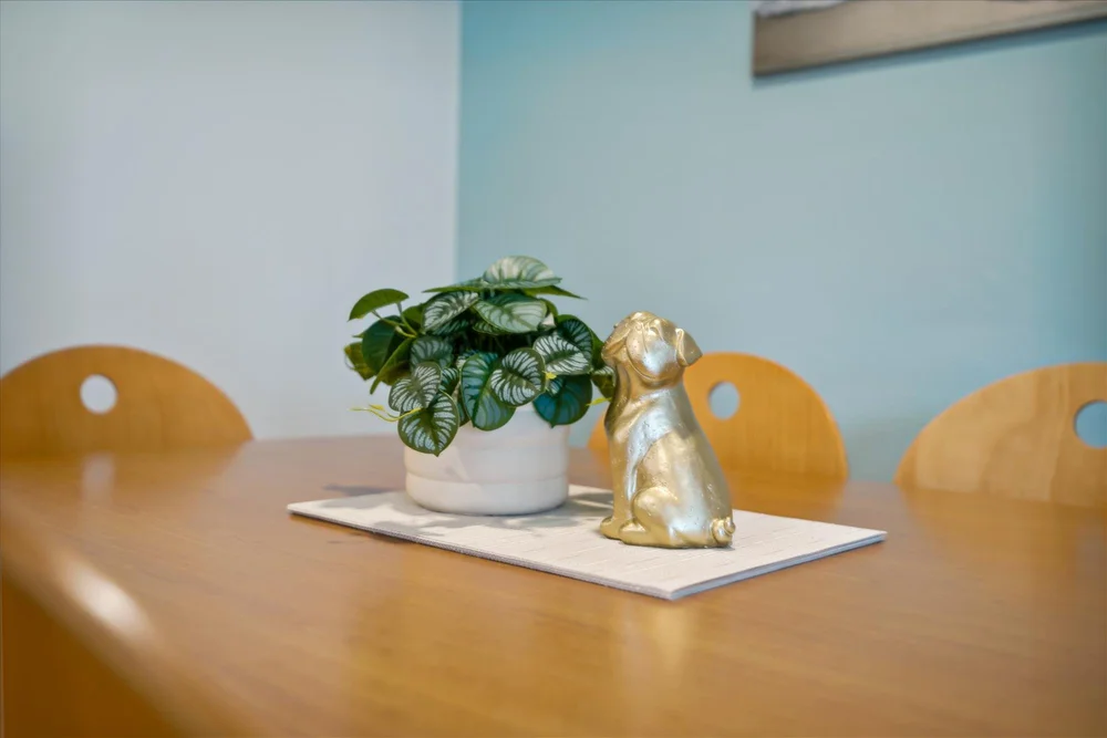 Seaside Surf Bungalow Dining