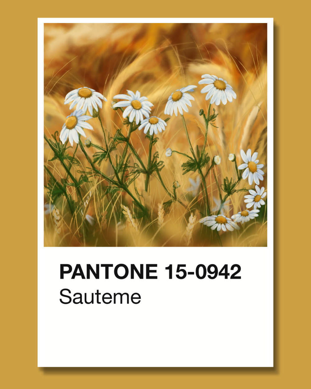 PANTONE® USA  Challenge: Variations in Print