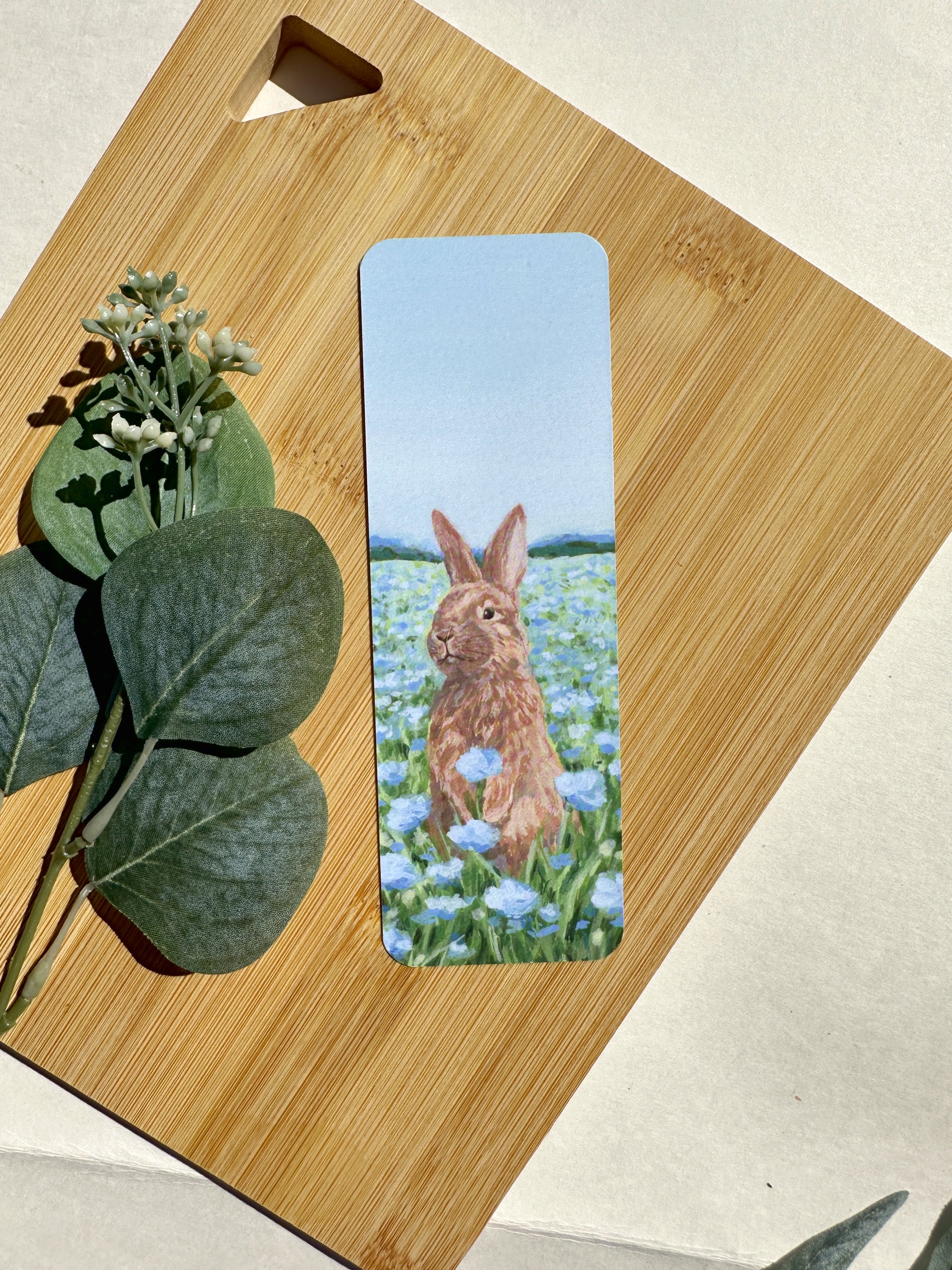 Bunny view 1.JPG