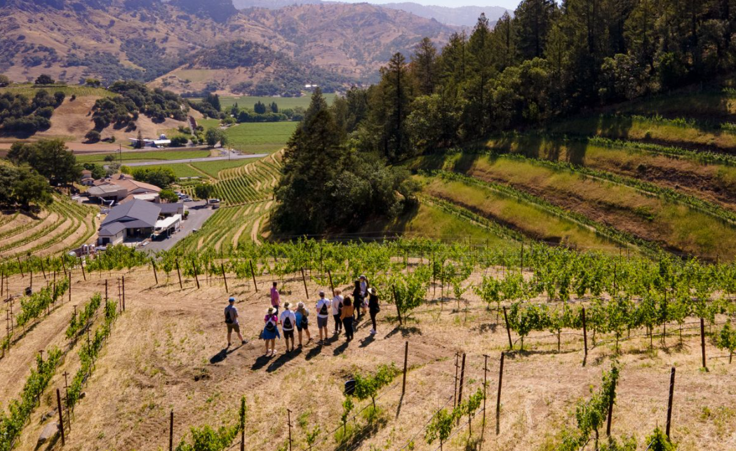 Morning Hike and Tasting at Pine Ridge Vineyards