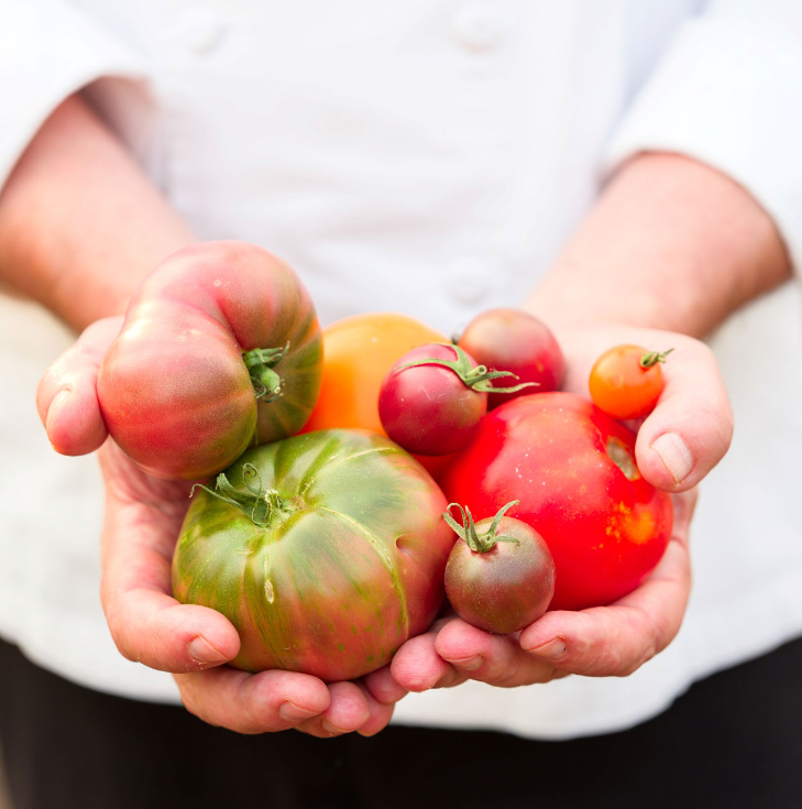You Say Tomato, I Say Delicious! at Cakebread Cellars