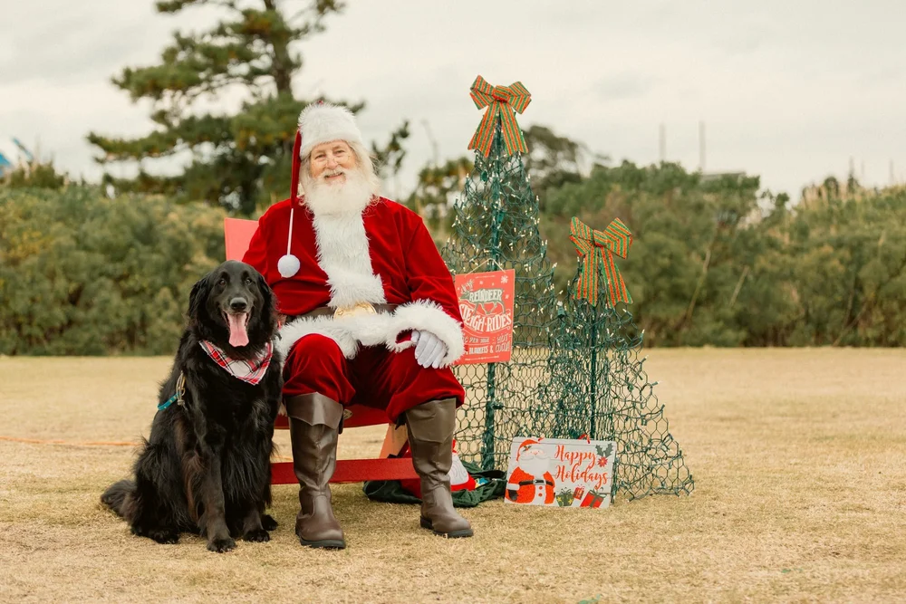 Santa and a very good dog