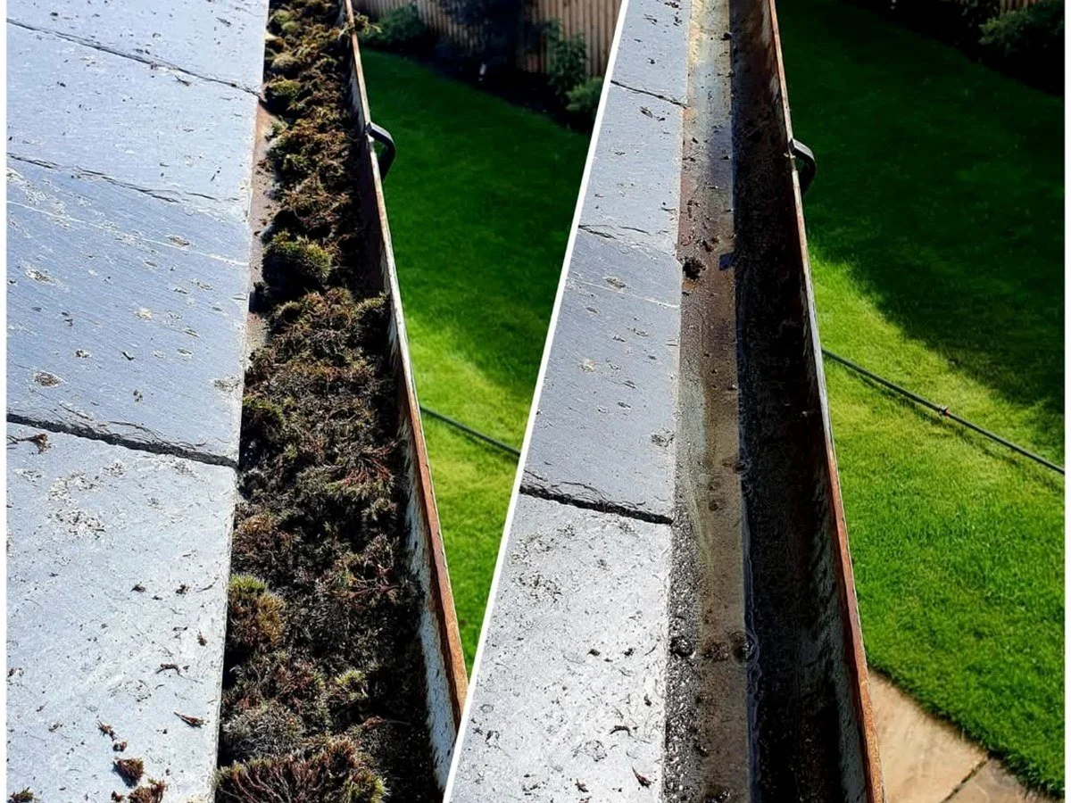 Blocked gutter containing built-up leaves, moss and debris before professional cleaning