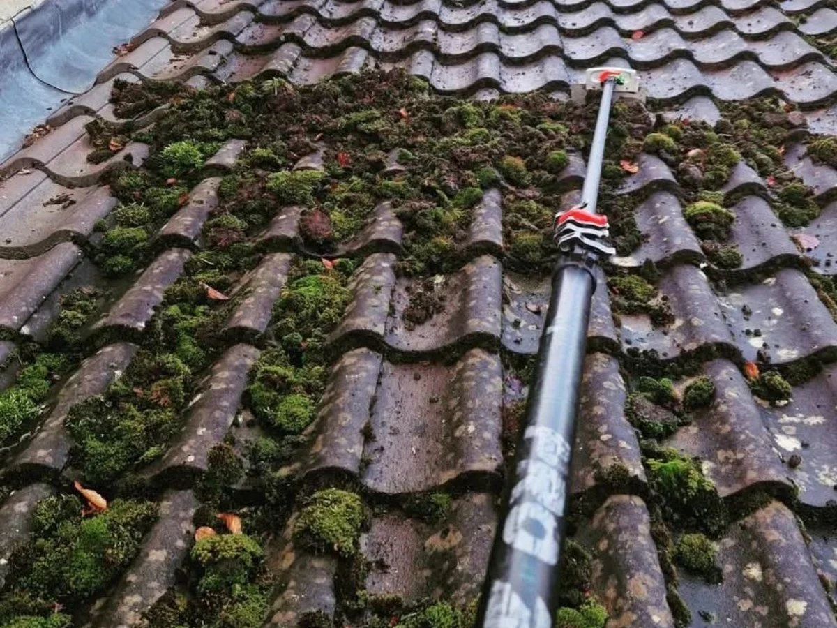 Professional cleaning of moss and organic growth from roof tiles in York