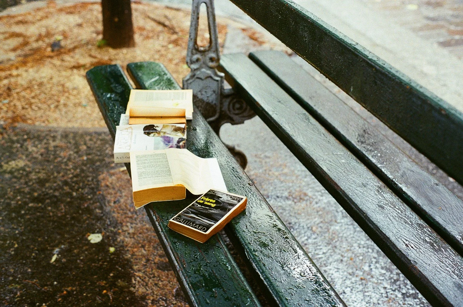 Les livres après la pluie, Paris, Caroline Le Com, 2021