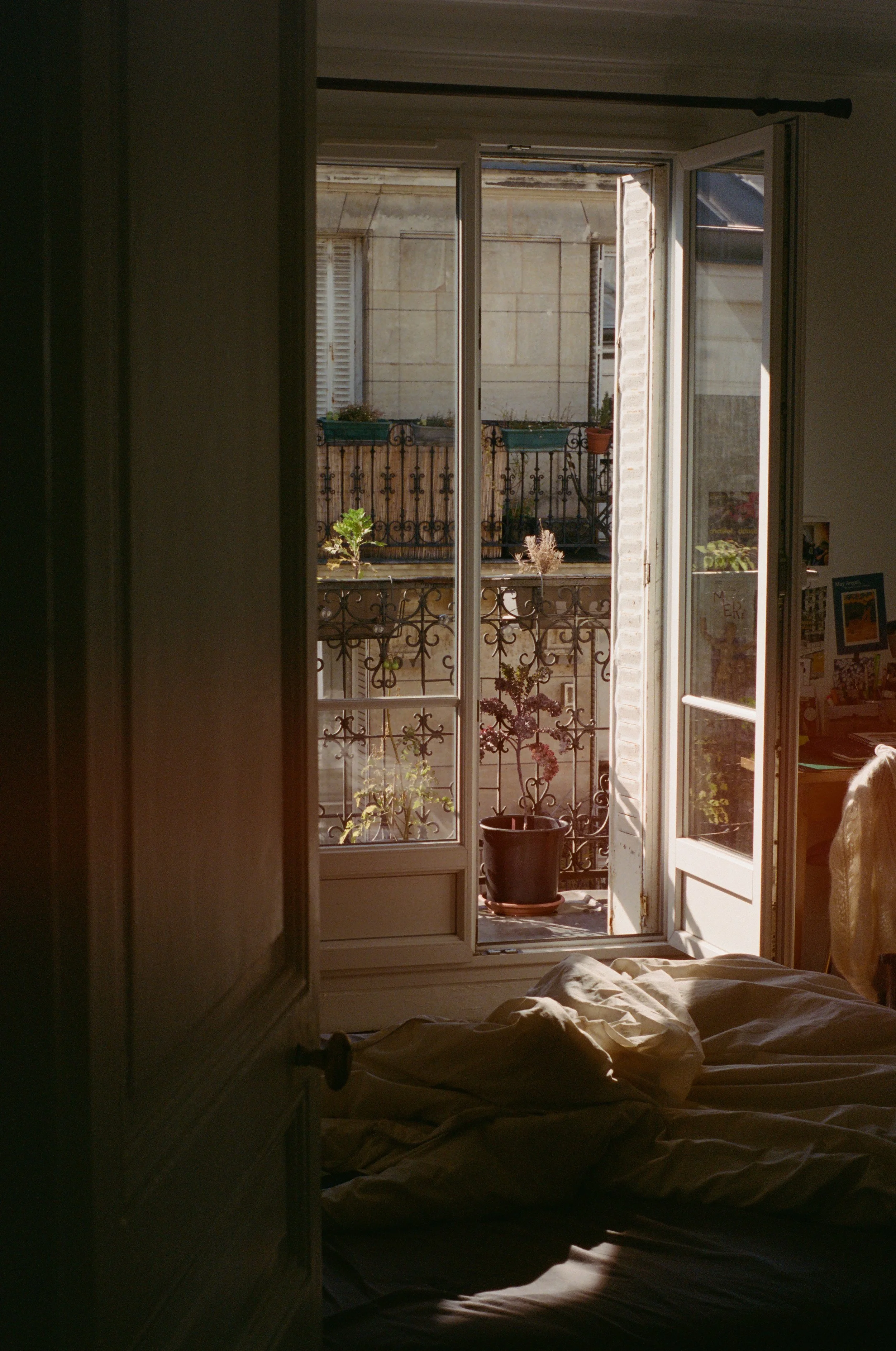 La douceur des matinées ensoleillées, Paris, 2022, Caroline Le Com