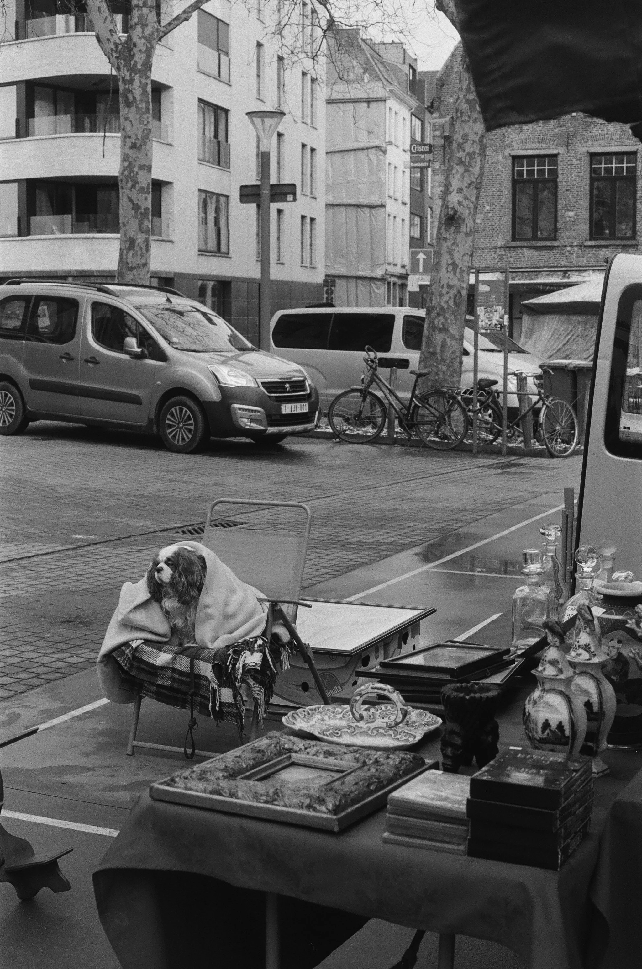 Marché aux puces, Anvers, Caroline Le Com, 2025