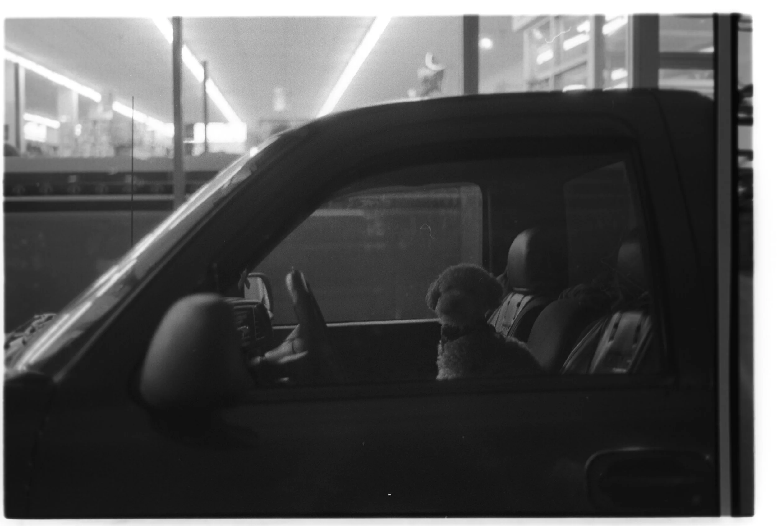 Joe le taxi c'est sa vie, Chicoutimi, Caroline Le Com, 2018