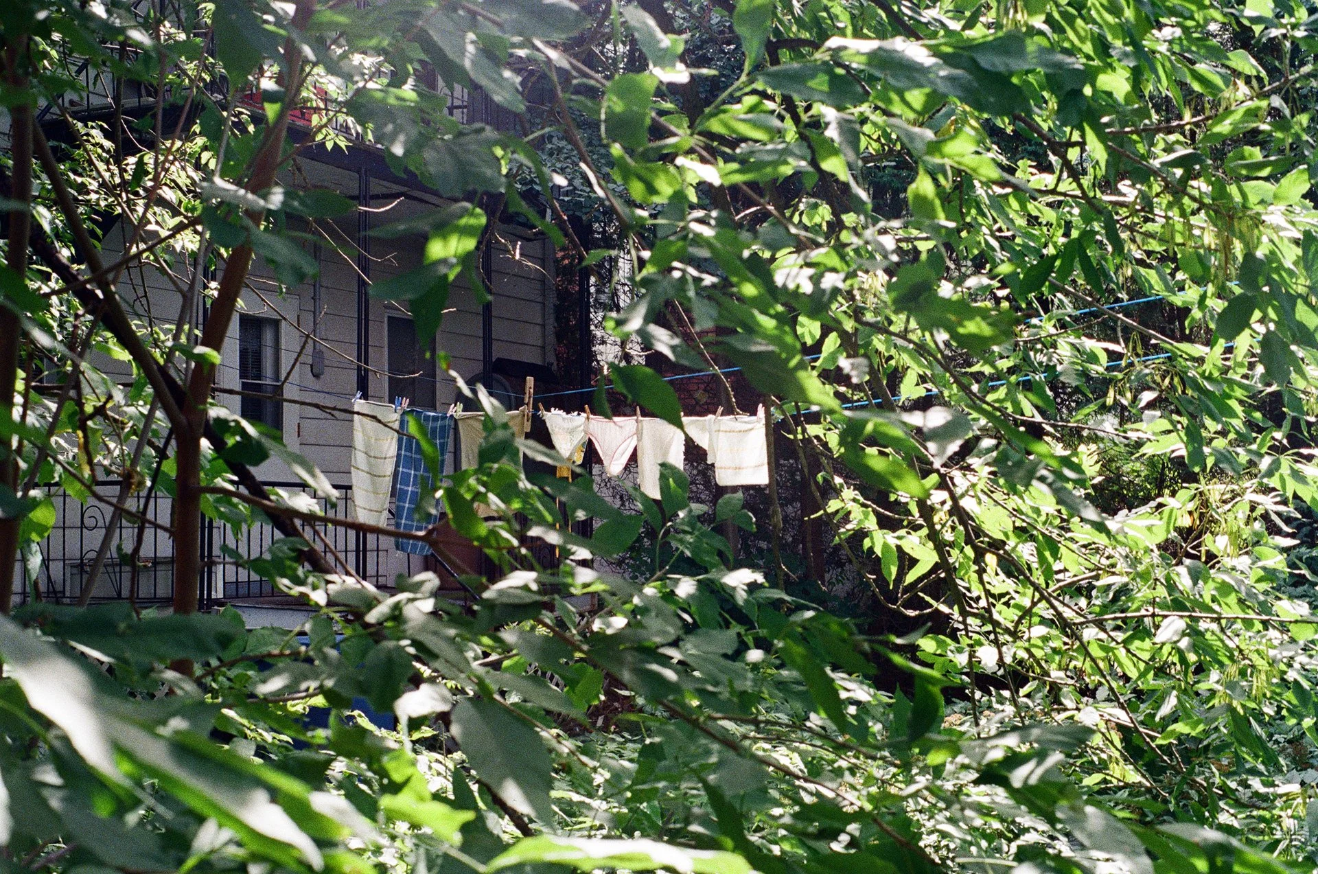 Les bobettes de la voisine, Chicoutimi, Caroline Le Com, 2017