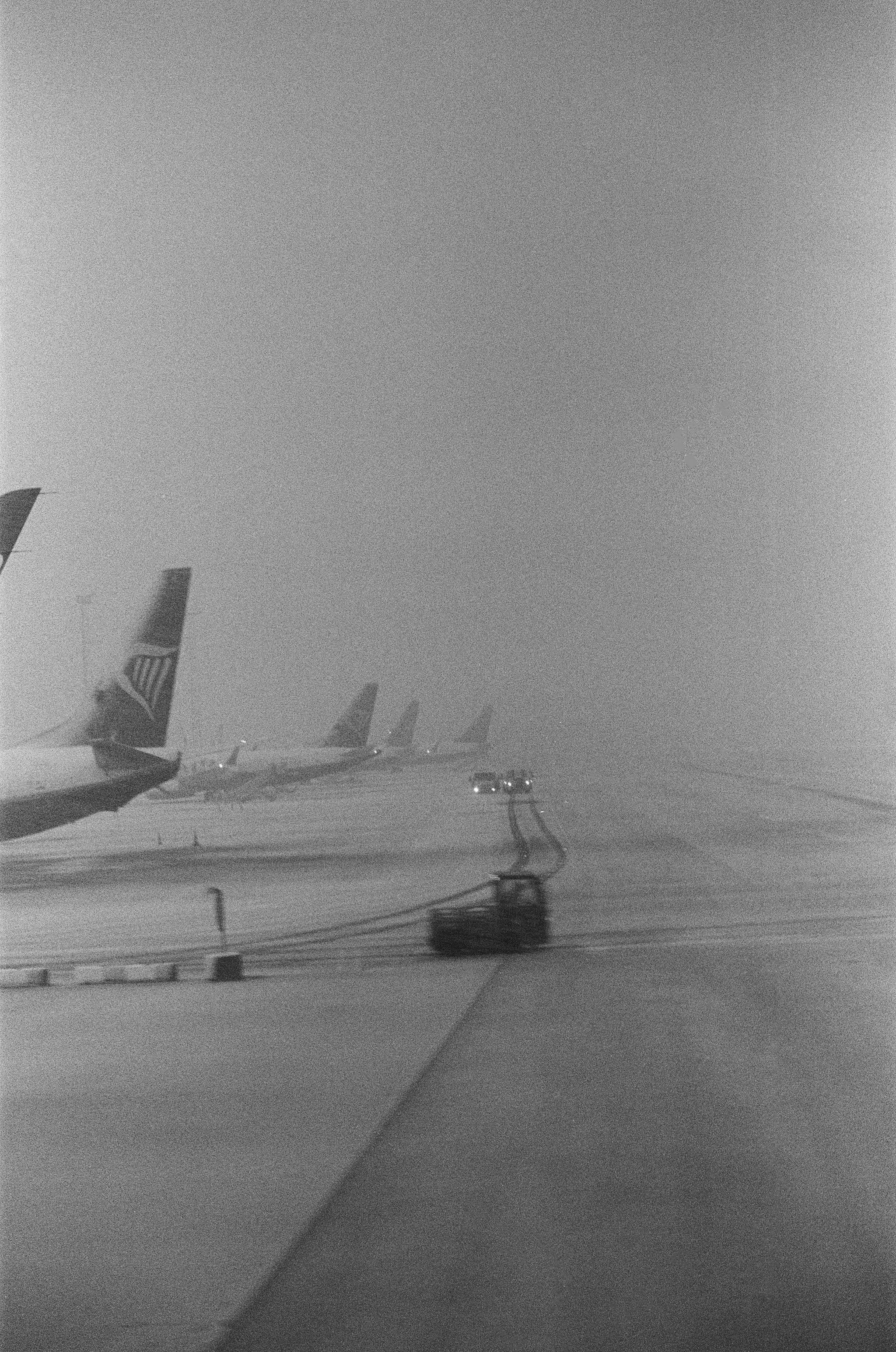 Copenhague, Caroline Le Com, 2025