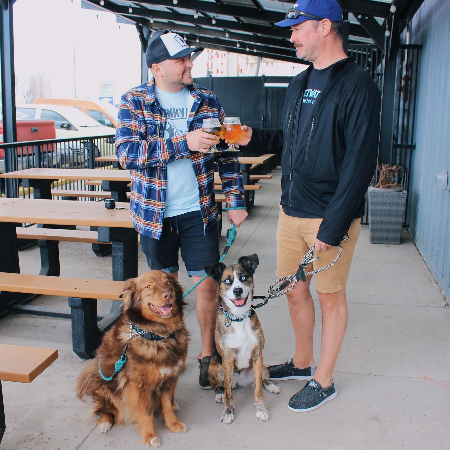 Patio season came early this year! Why not grab a pint and celebrate in the sun? 

Our patio is officially open to you and your pups. 

Cheers!🍻🐶