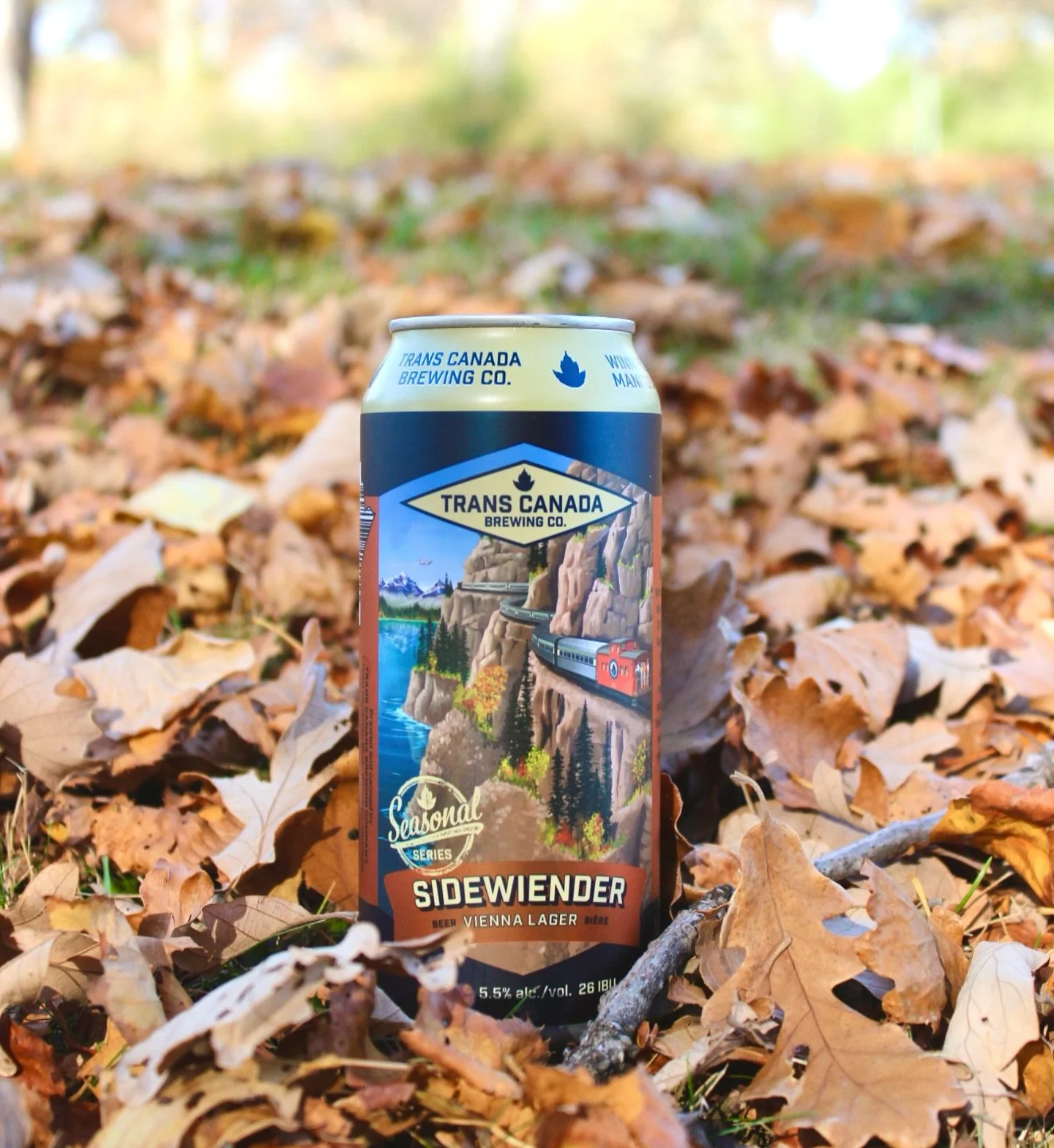 The leaves are getting crunchy and the air feels crisp, that&rsquo;s how you know Sidewiender Vienna Lager has returned 🚂

It&rsquo;s balanced malt profile and subtle hop bitterness pairs beautifully with a hint of floral spice. Crisp just like the 