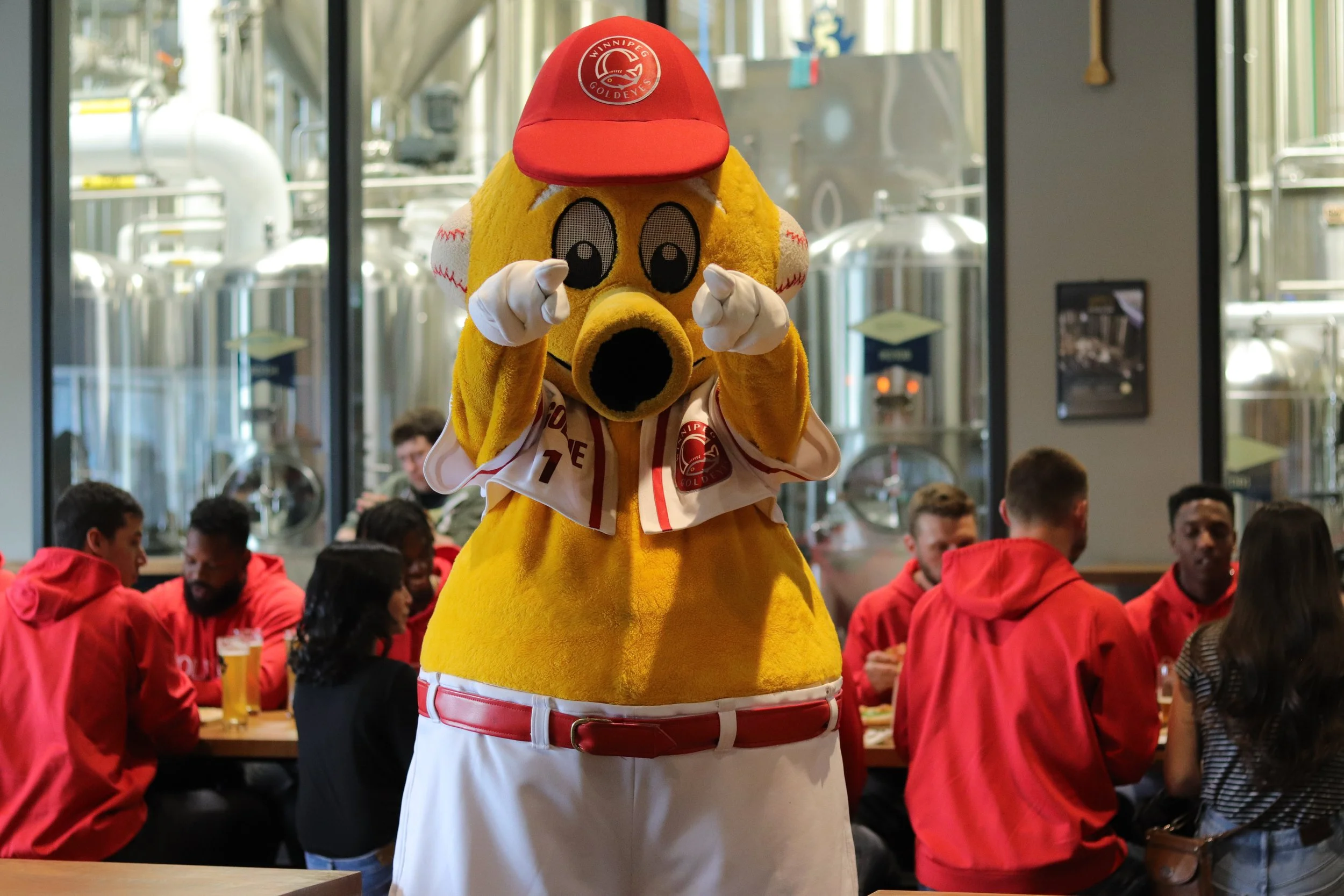 Meet the Goldeyes In Our Taproom!
