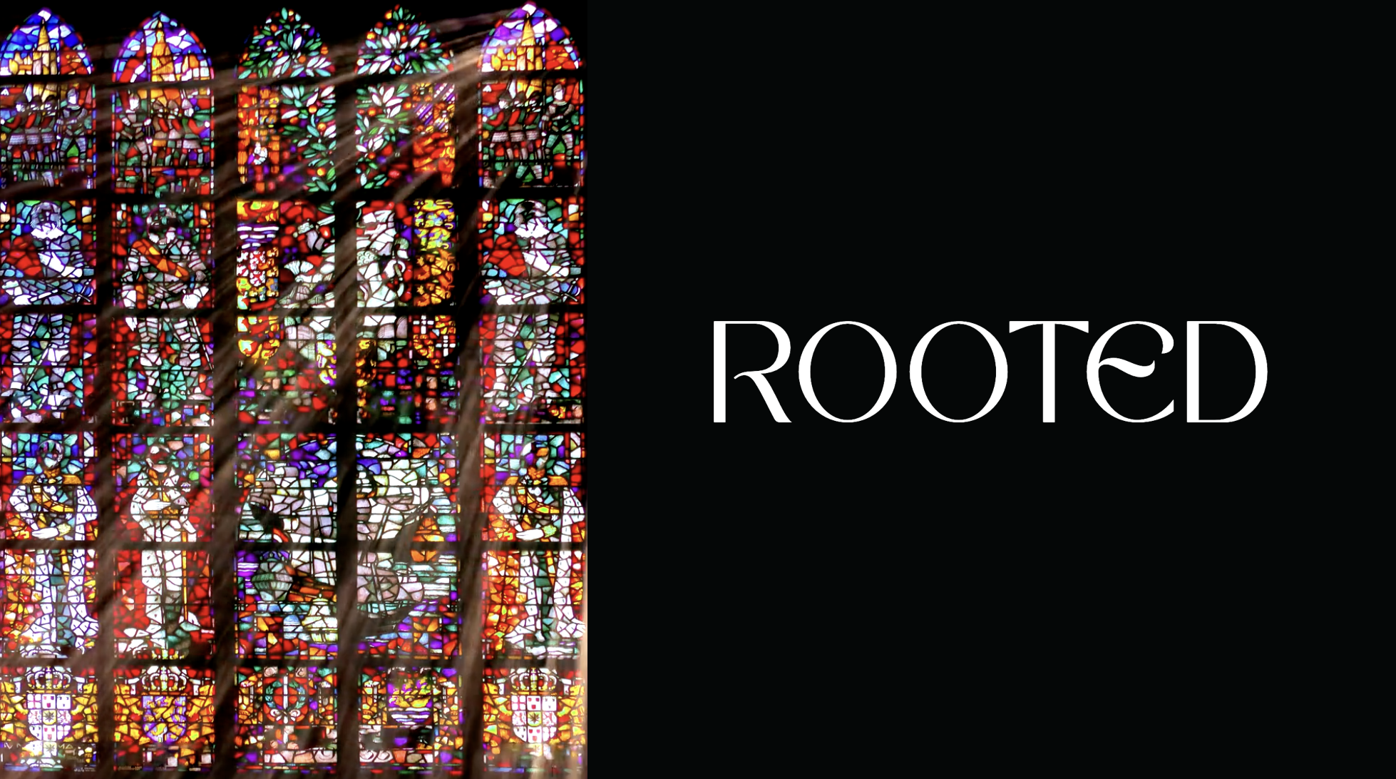 ROOTED Week #2