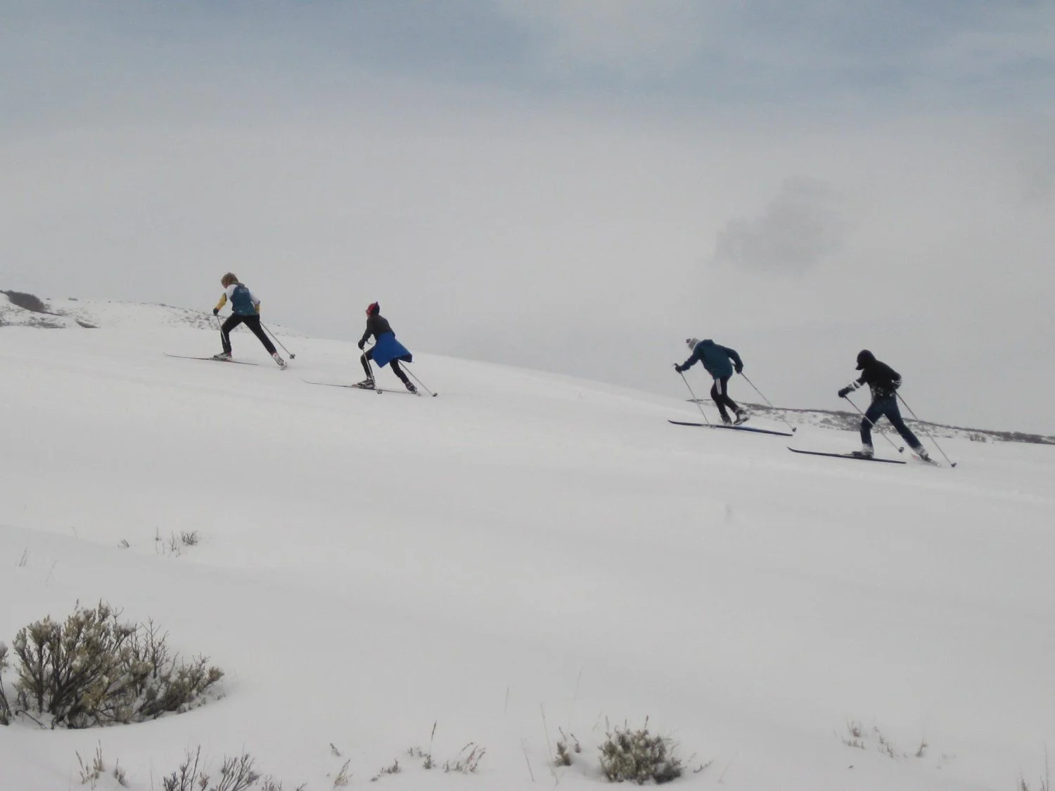 Nordic Ski &amp; Biathlon Training