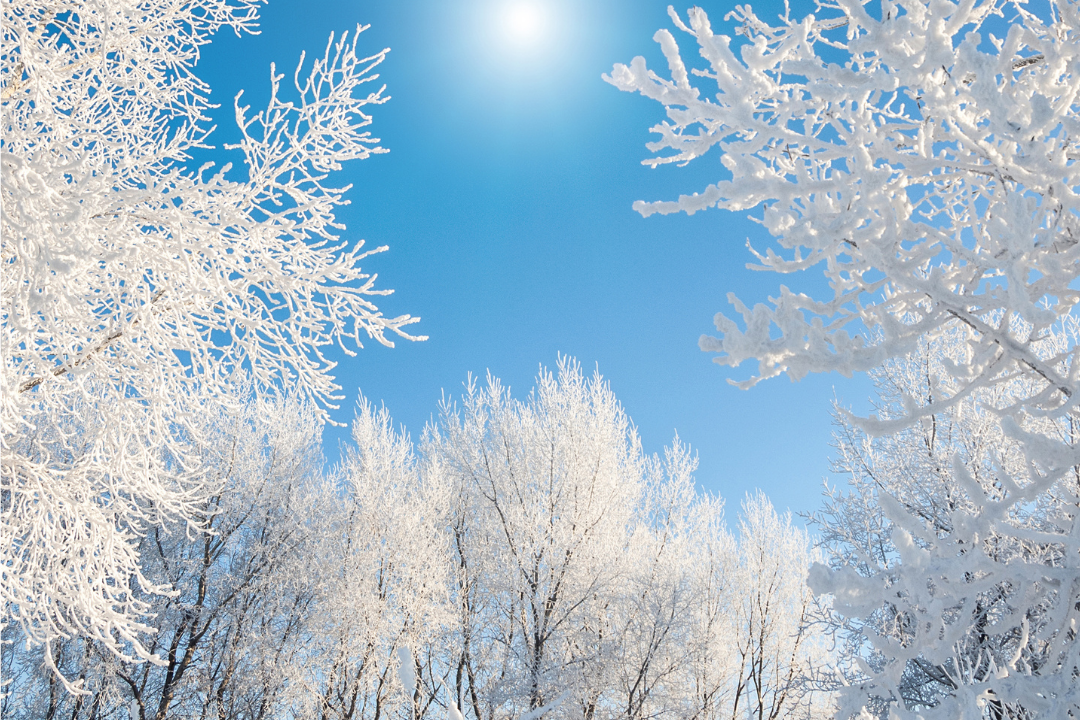 Hiver 2025-2026