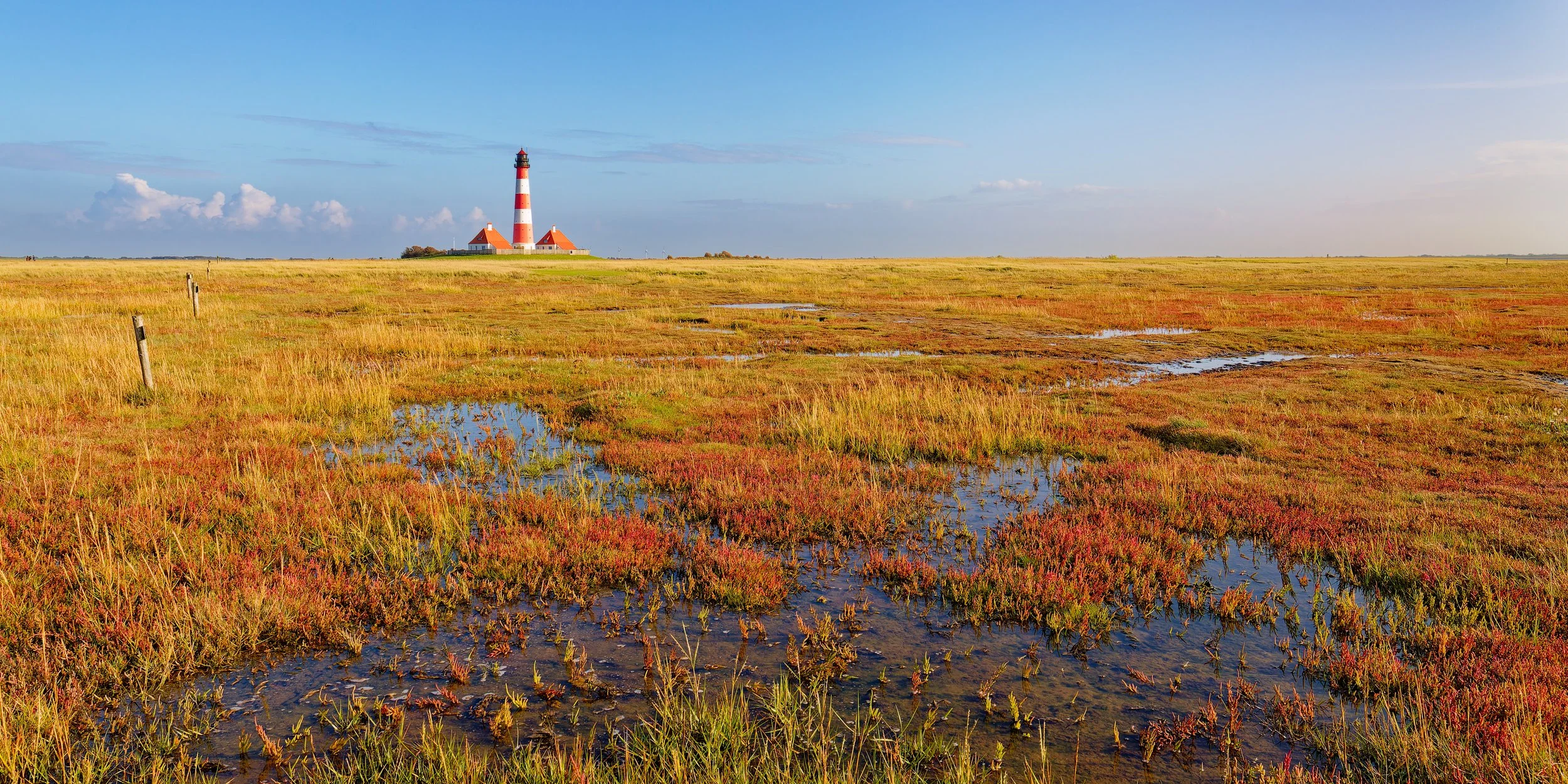 Salzwiese_Herbst_Leuchtturm_19_6805.jpg