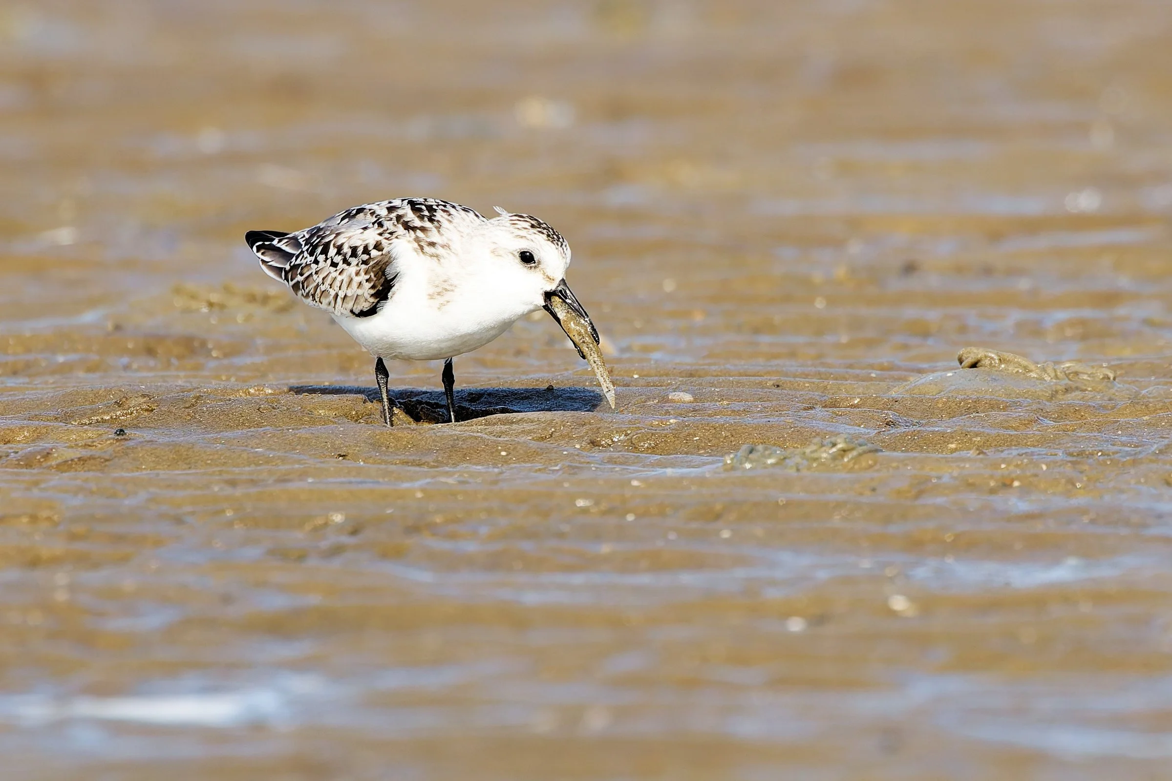 ... so passt es besser!