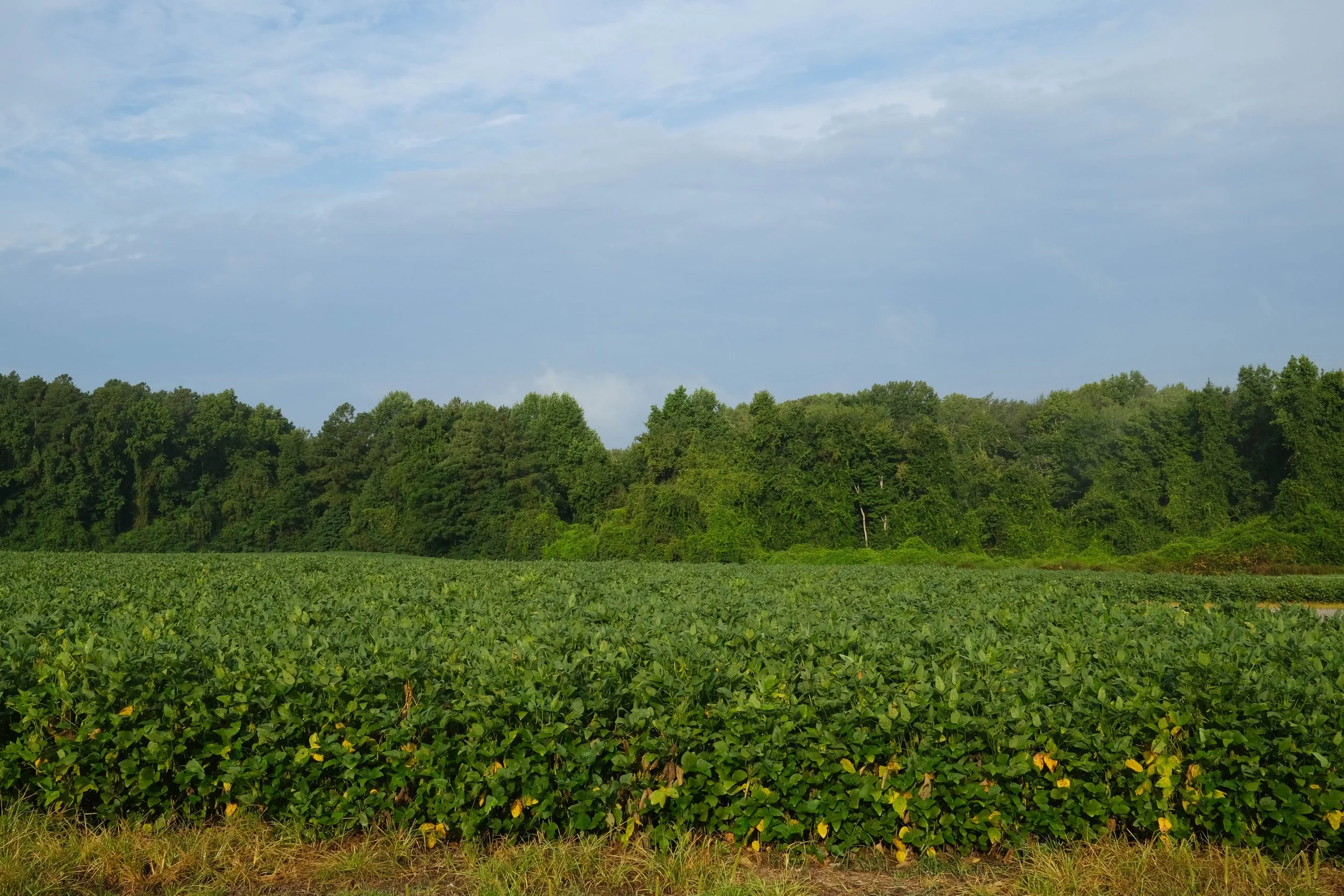 DSCF7686.jpg